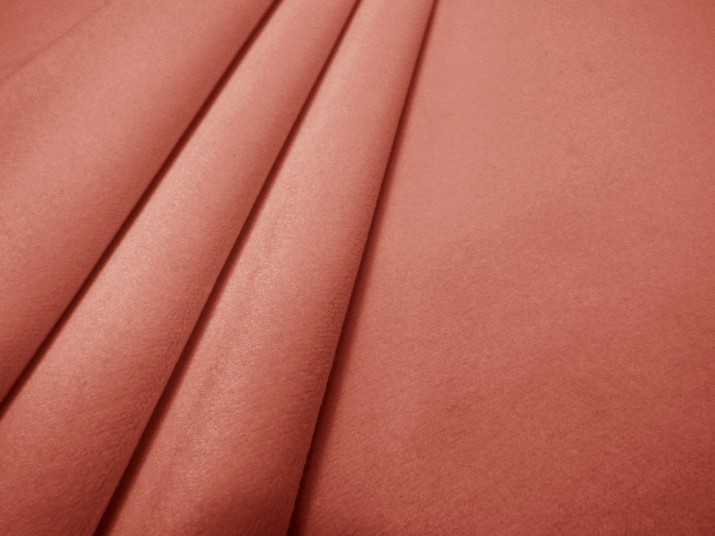 Clarke & Clarke Alvar Rose