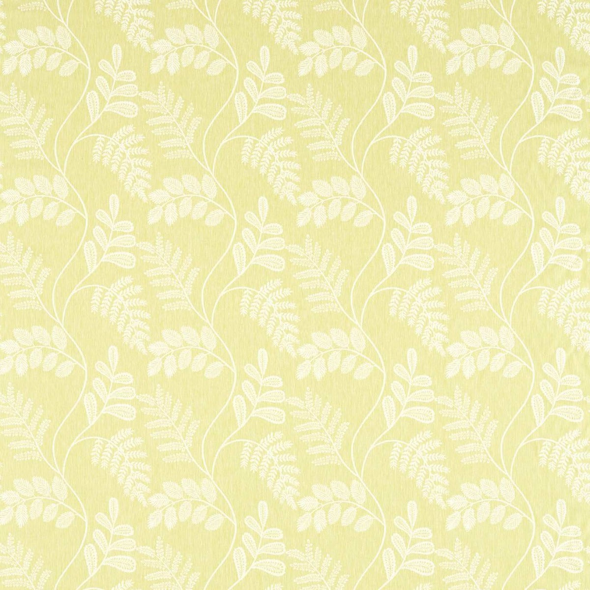 Clarke & Clarke Audette Citron