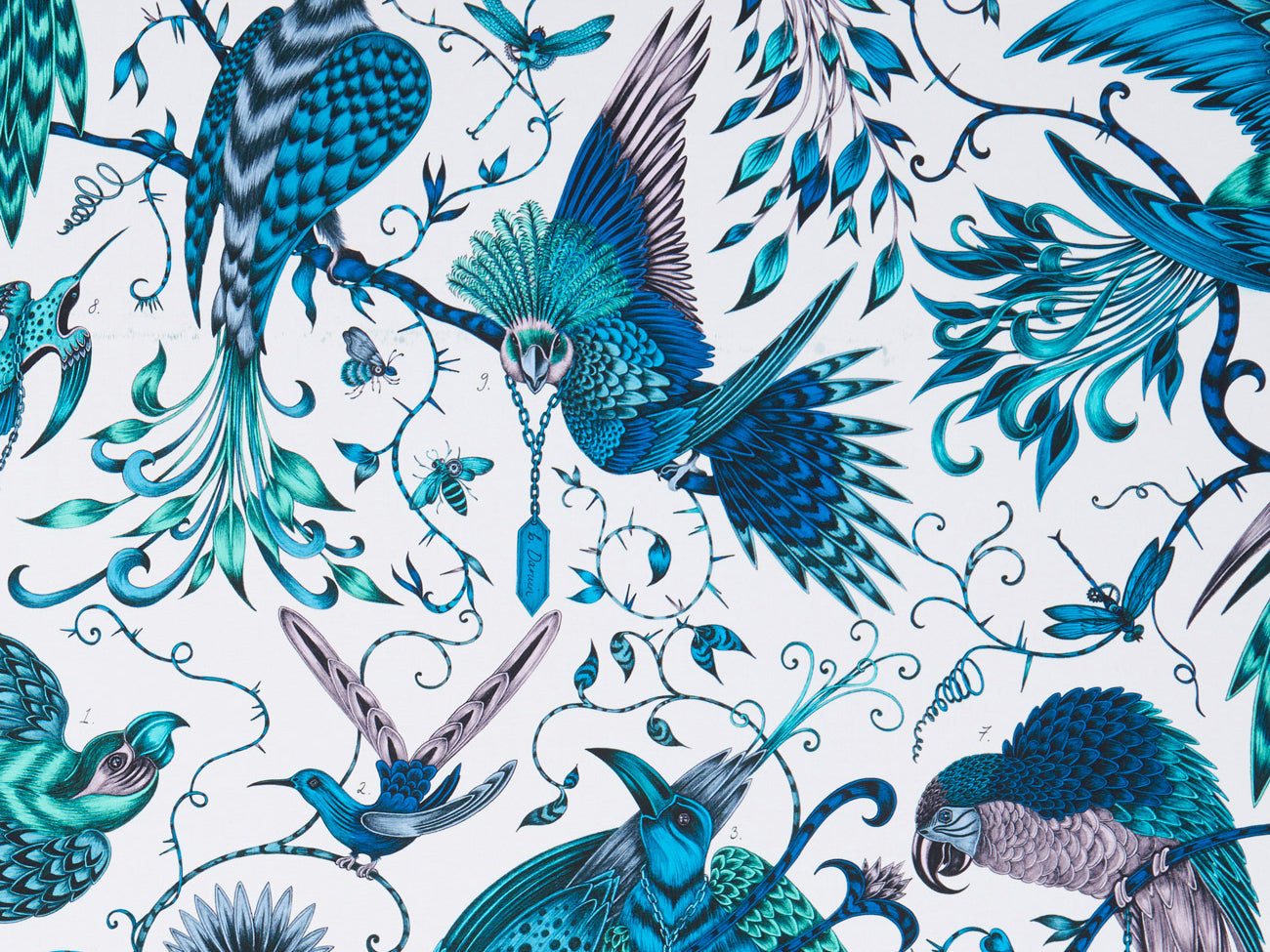 Clarke & Clarke Audubon Jungle