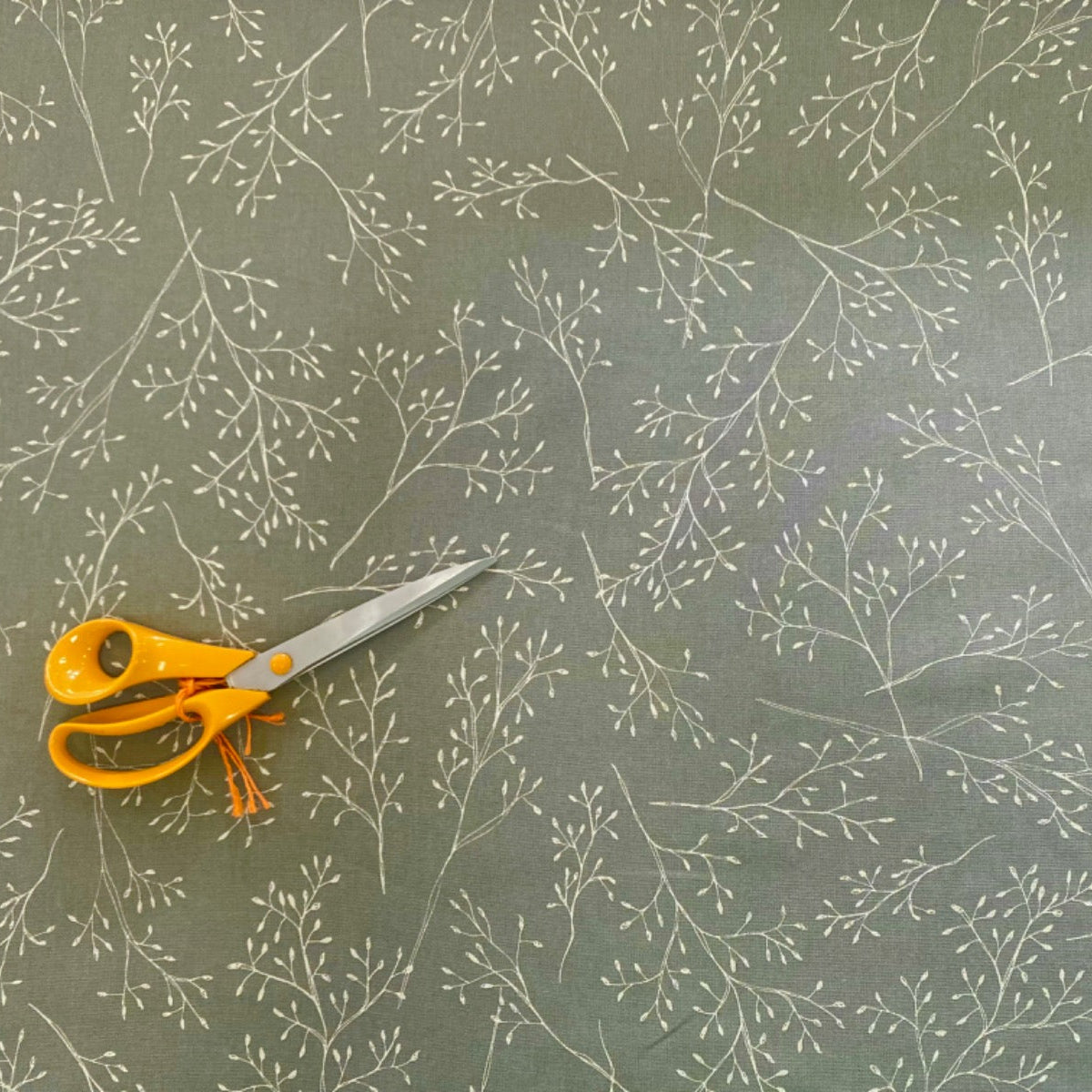 T464 Botanical Sketch Sage