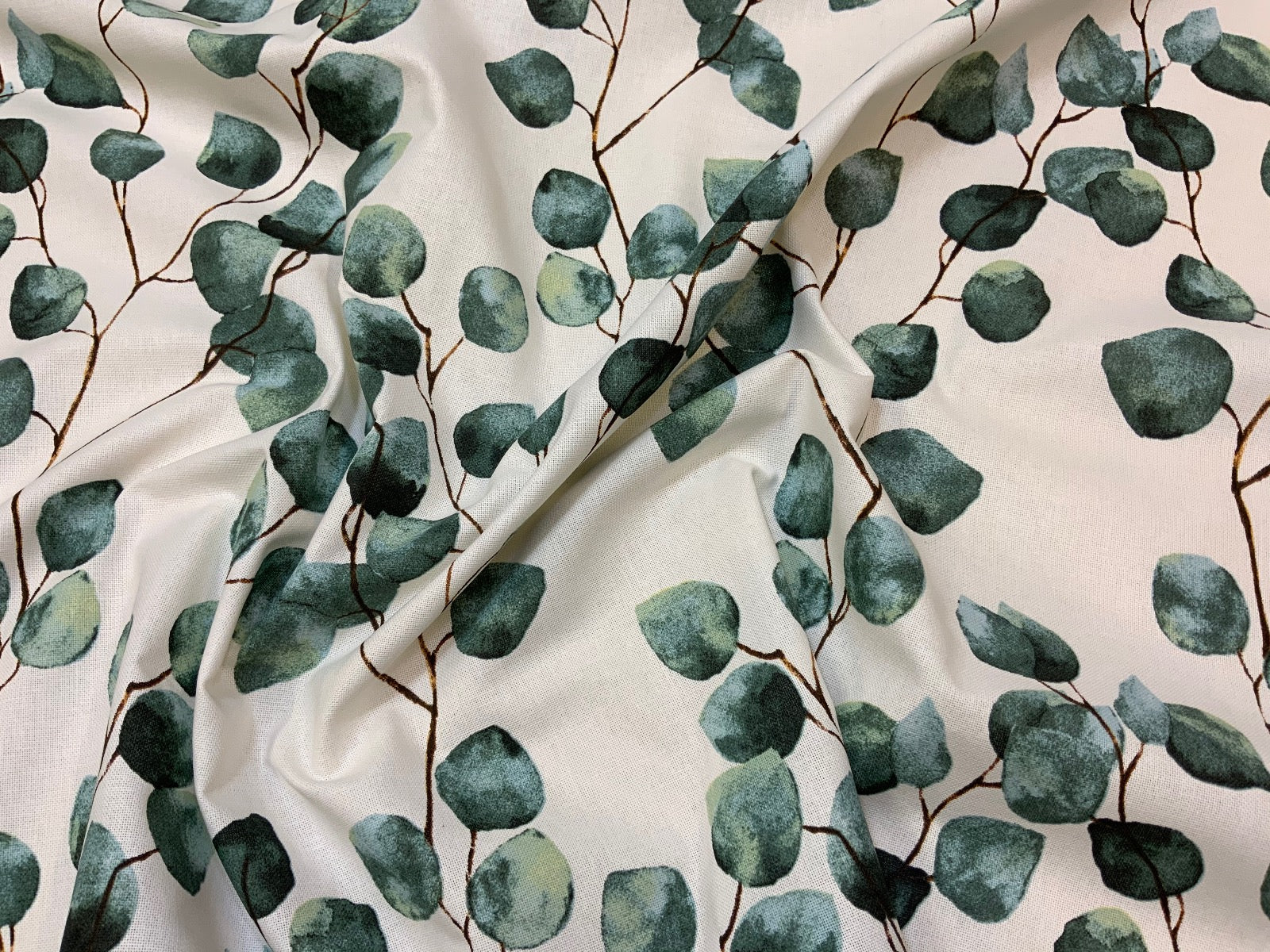 T383 Trailing Eucalyptus Ivory