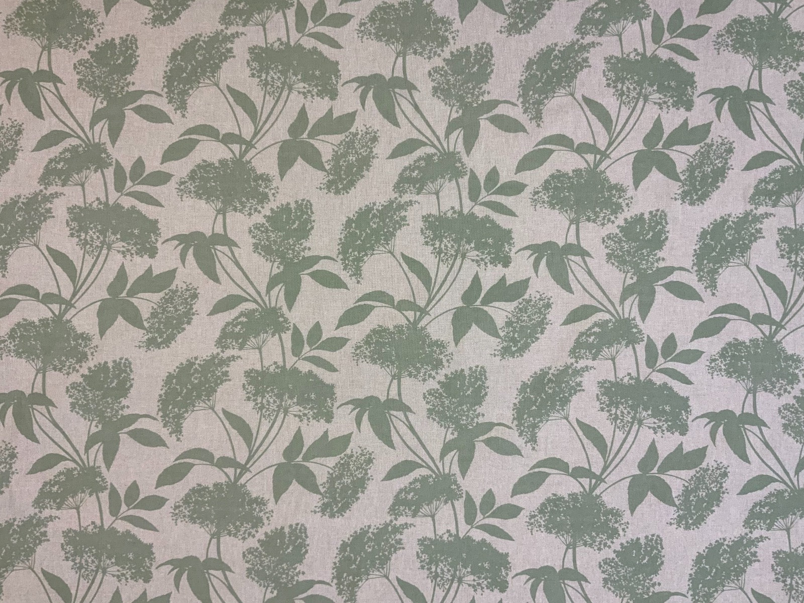 S183 Elderflower Sage