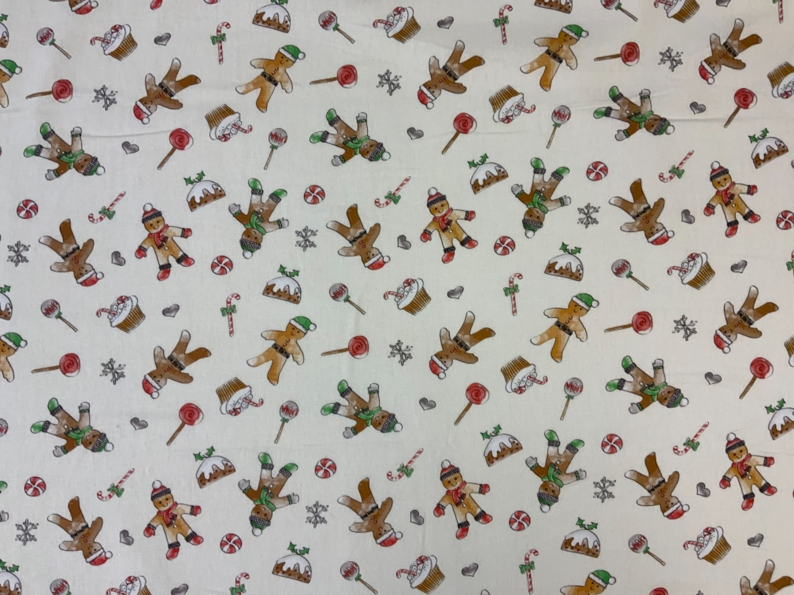 Gingerbread Biscuits P132