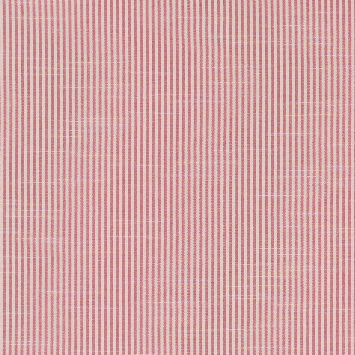 Clarke & Clarke Bempton Fuchsia