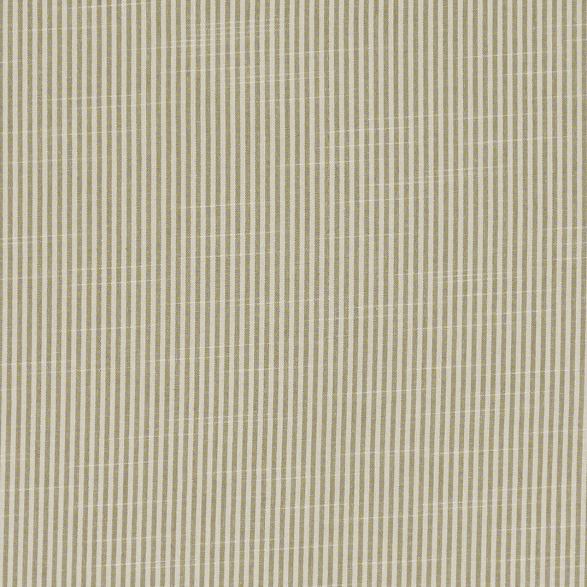 Clarke & Clarke Bempton Natural