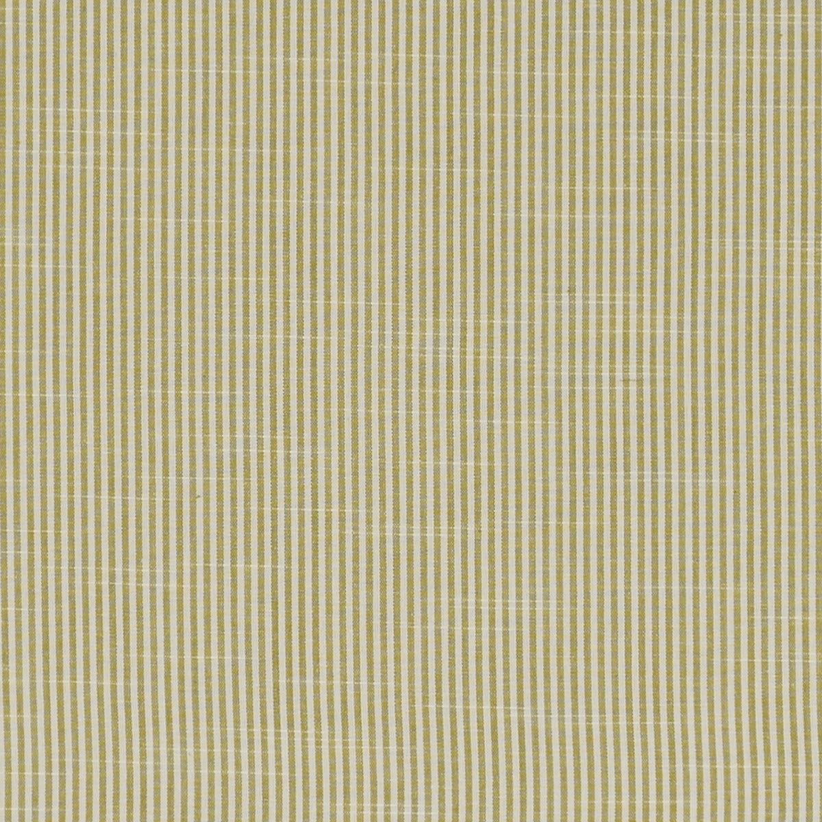 Clarke & Clarke Bempton Olive