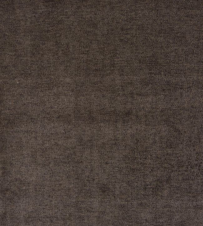 Prestigious Bravo Bark