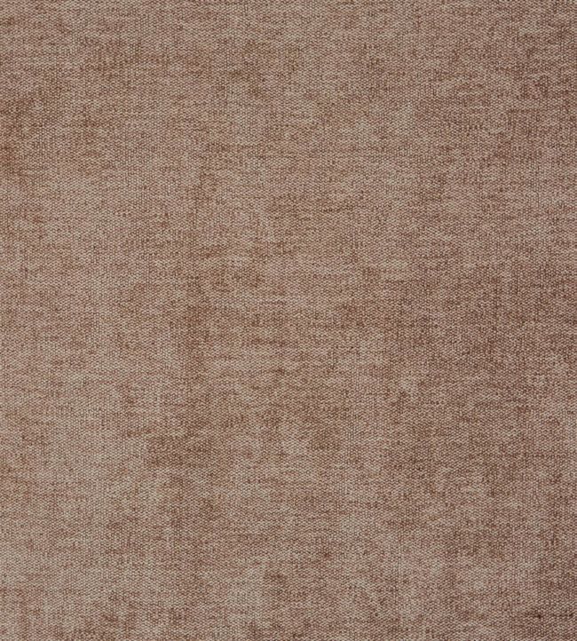 Prestigious Bravo Fawn