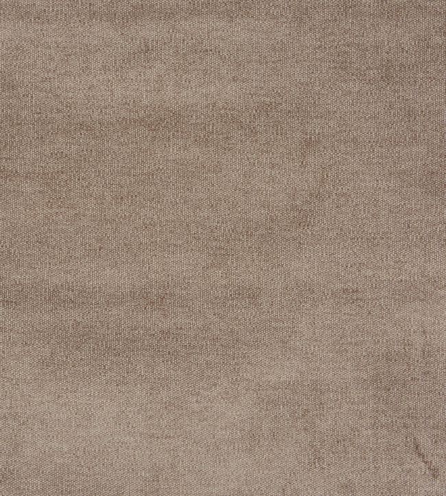 Prestigious Bravo Flax