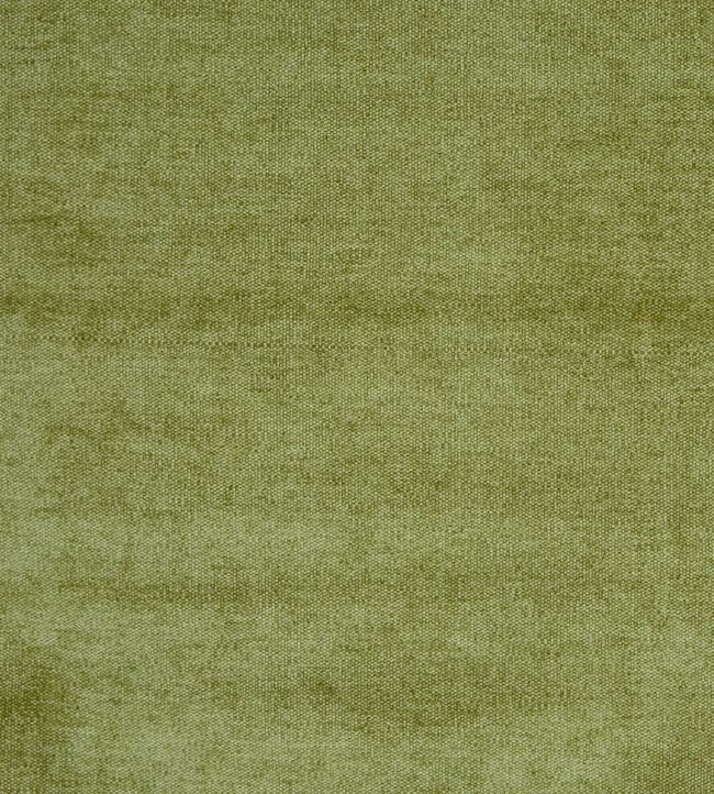 Prestigious Bravo Olive