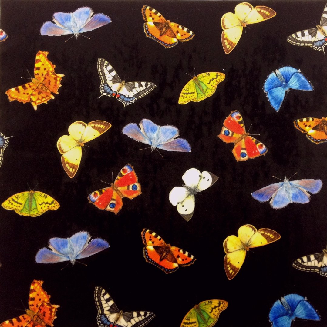 British Butterflies Black Velvet Cushion Panel