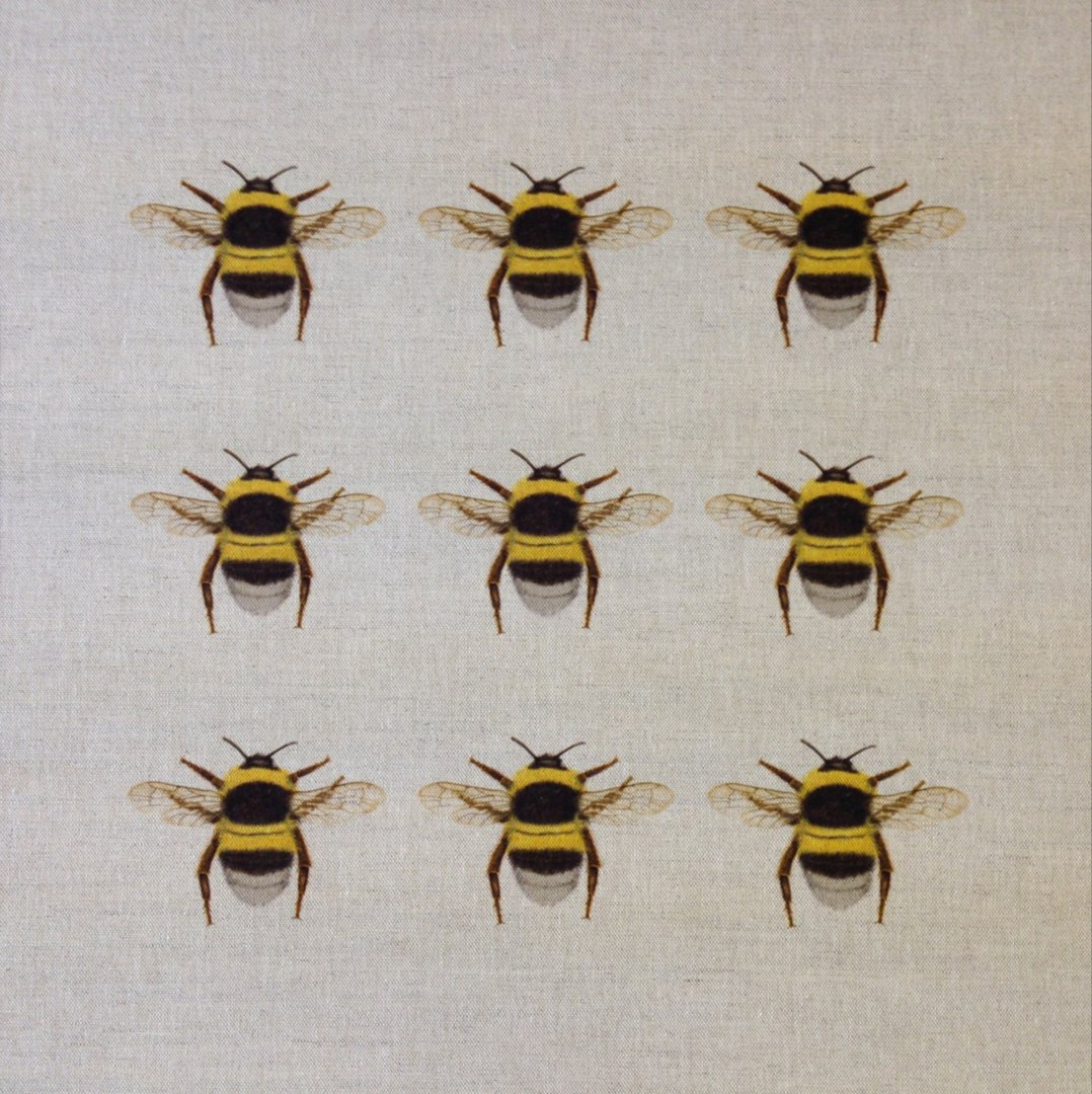 Bumblebee Collector Cushion Panel