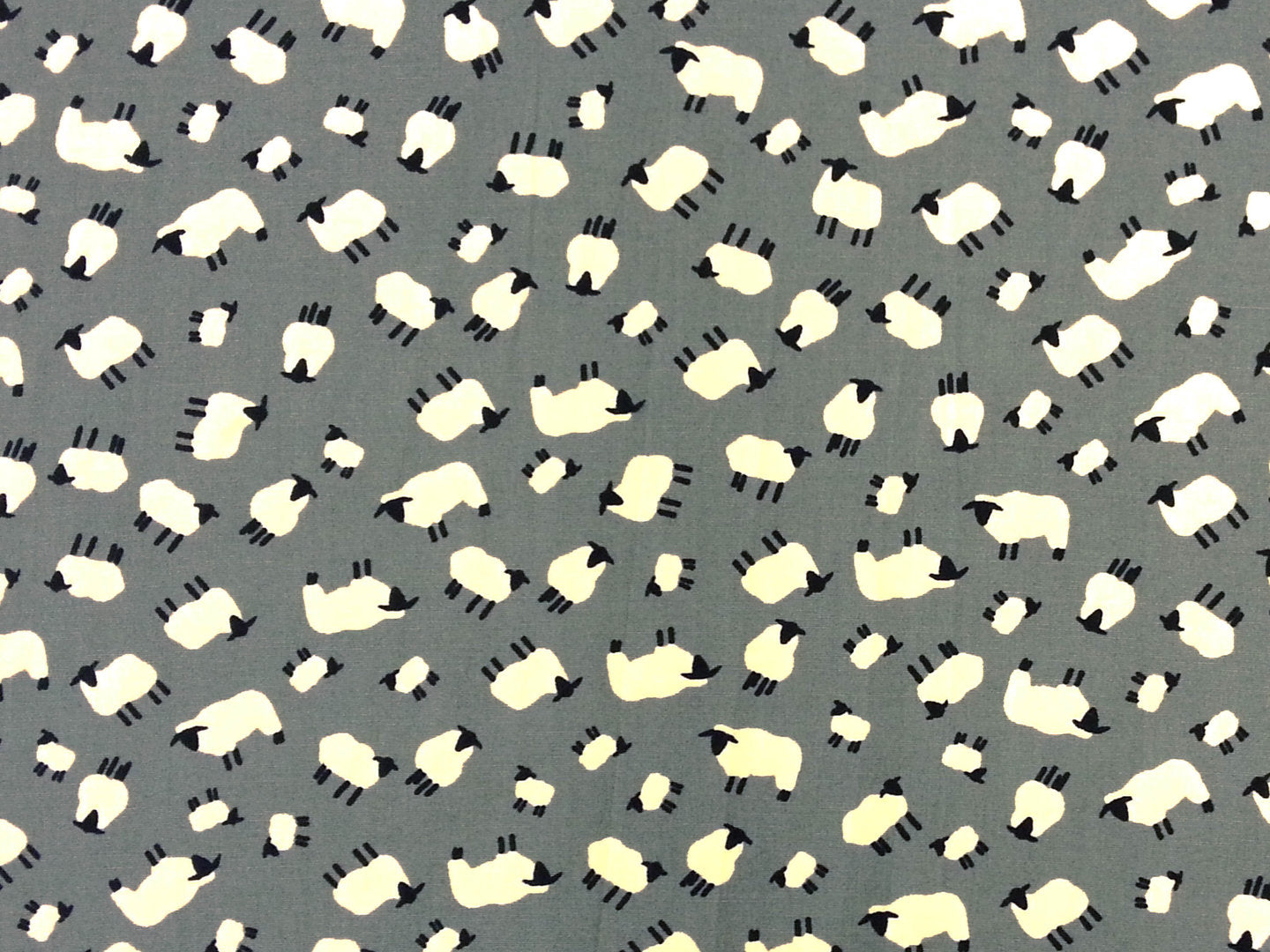 Sheep Cotton Poplin Silver C134