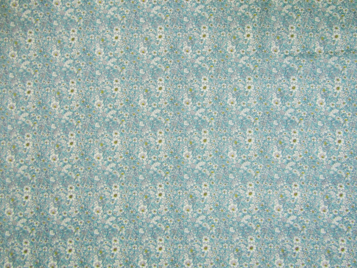 Floral Cotton Poplin Sky C185