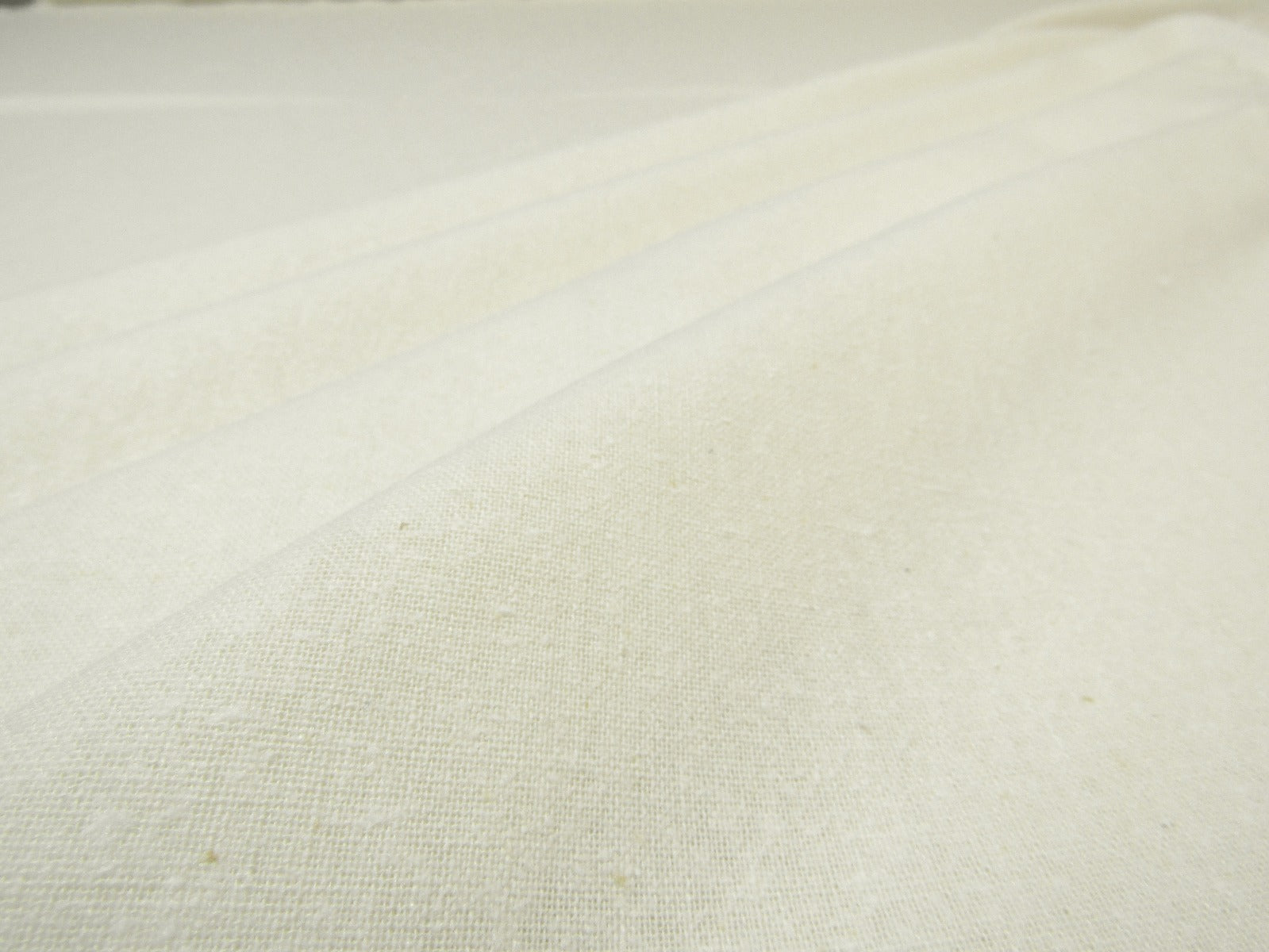 Silk Noil Natural C355