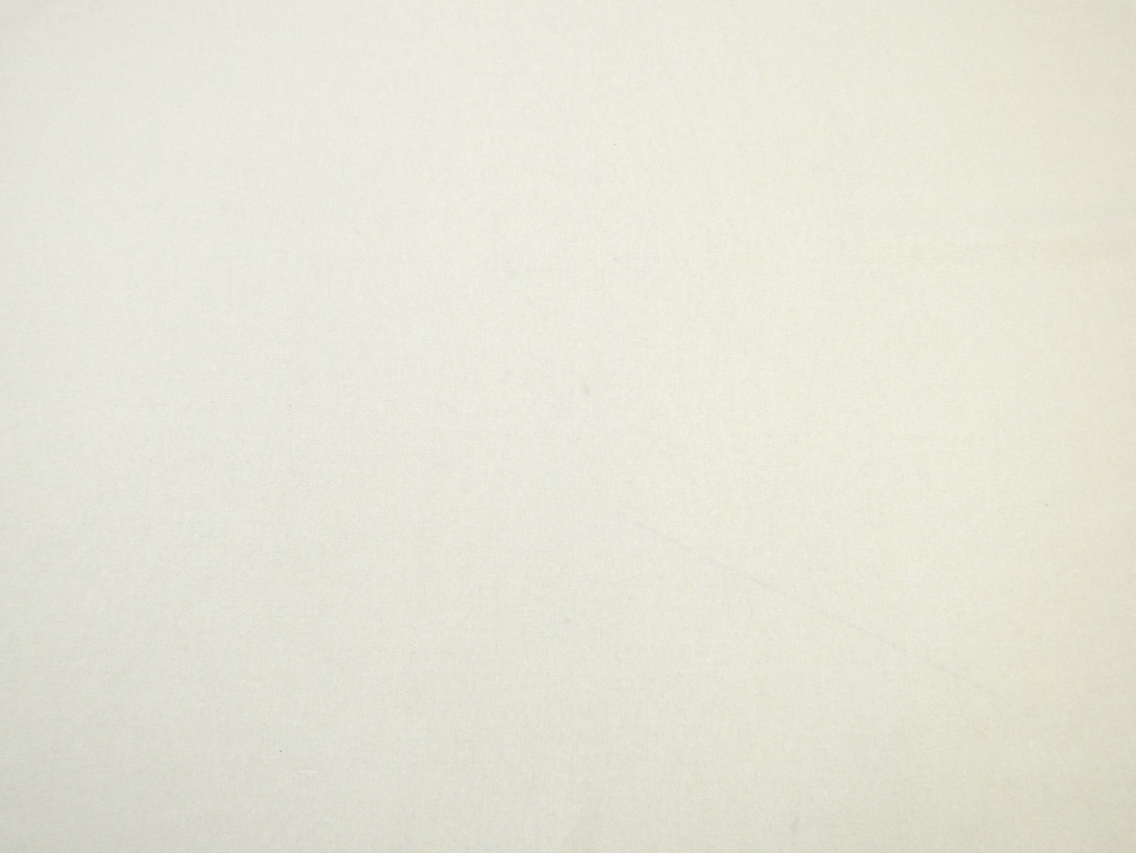 Silk Noil Natural C355