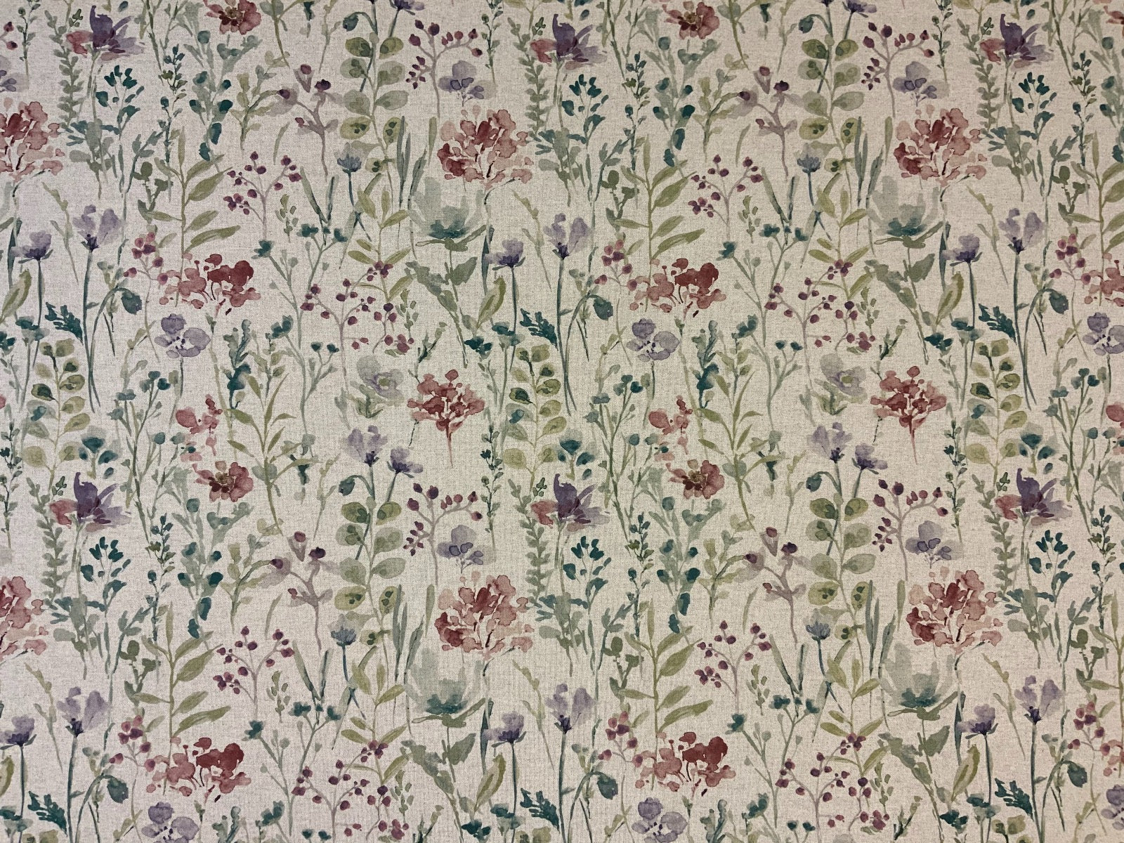 ILiv Wild Fields Eucalyptus