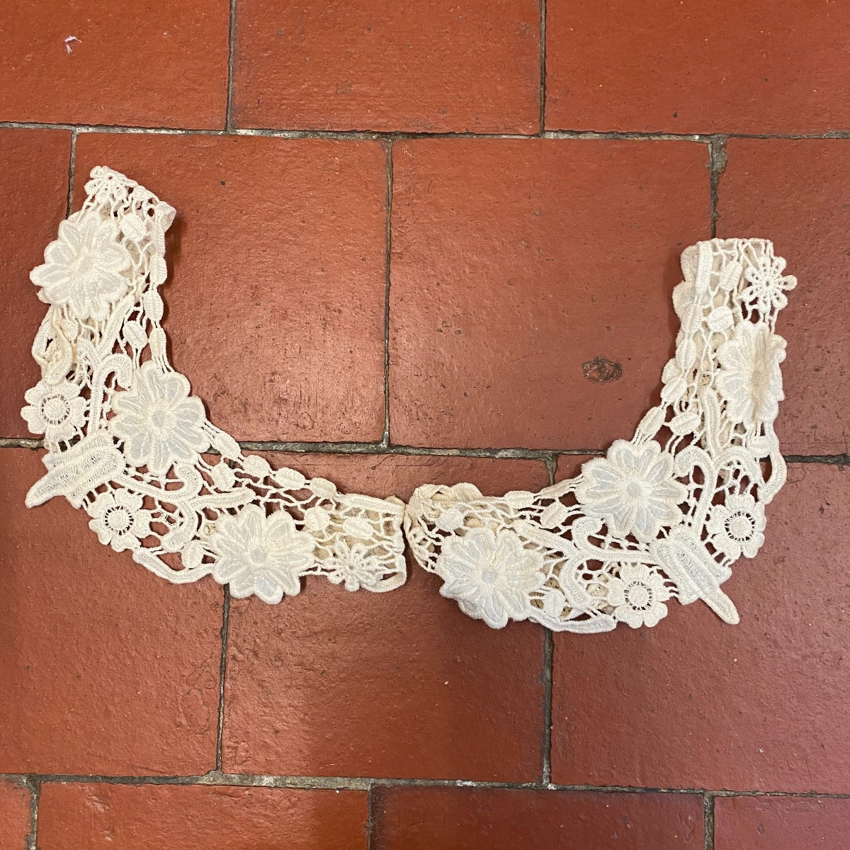 Pair of Floral Guipure Collar Cappuccino