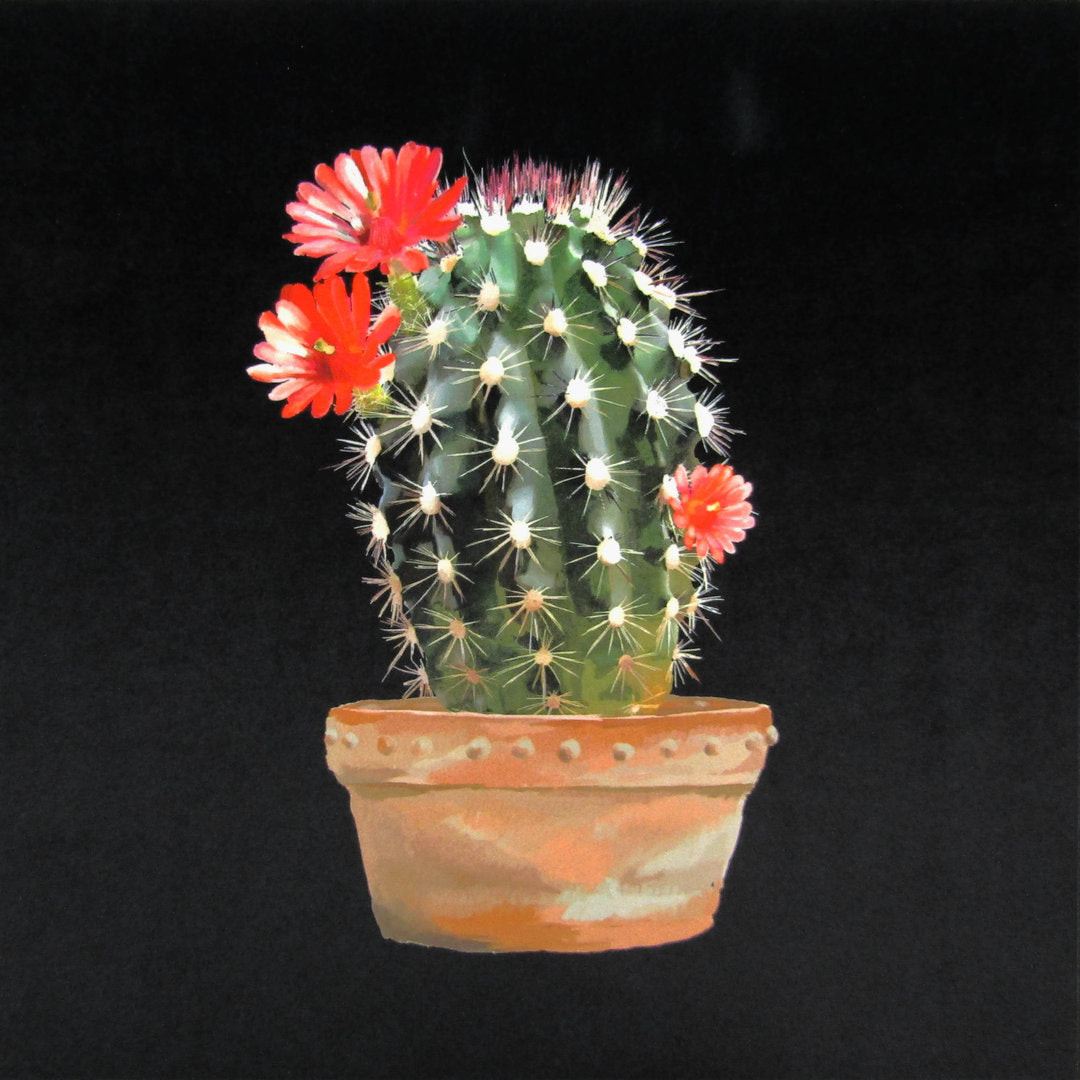 Velvet Cushion Panel Cactus Black