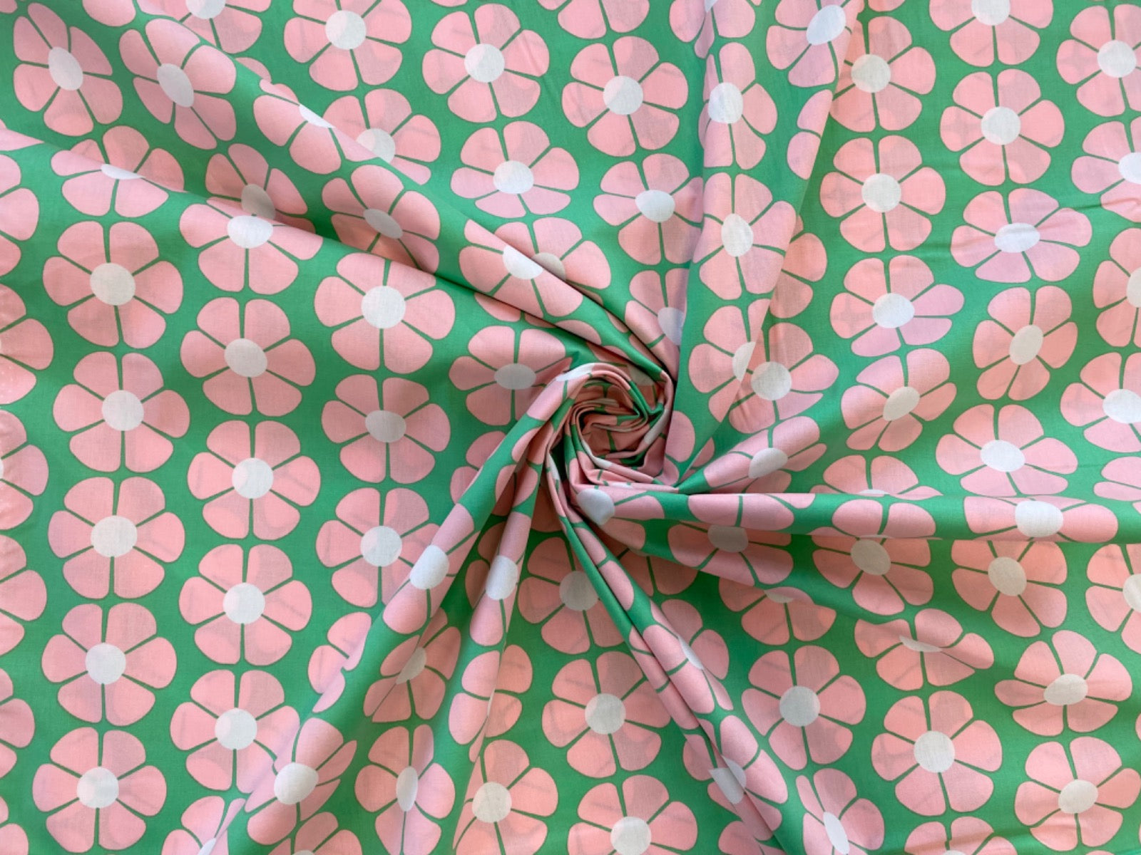 Tex Ex 2729 Bold Daisy