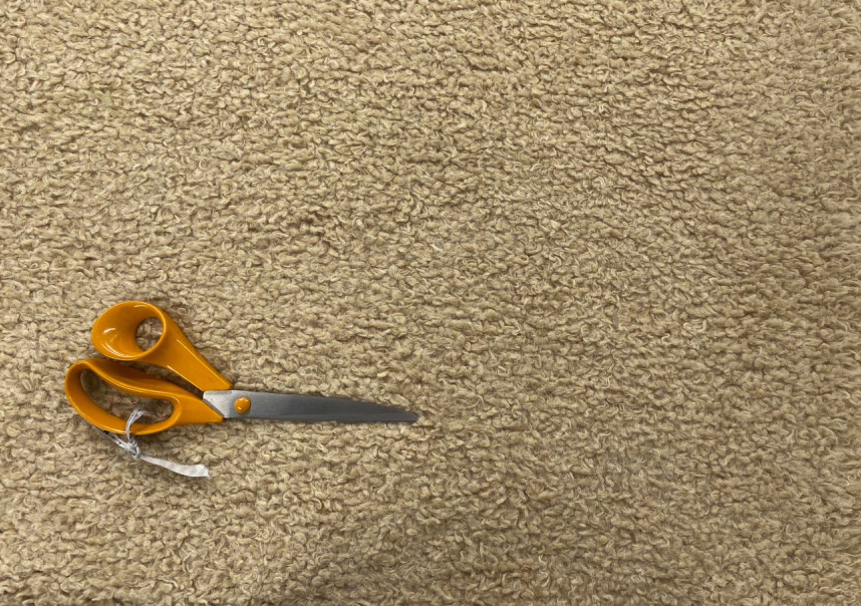 Recycled Teddy Sherpa Fleece Tex Ex 2696 Biscuit