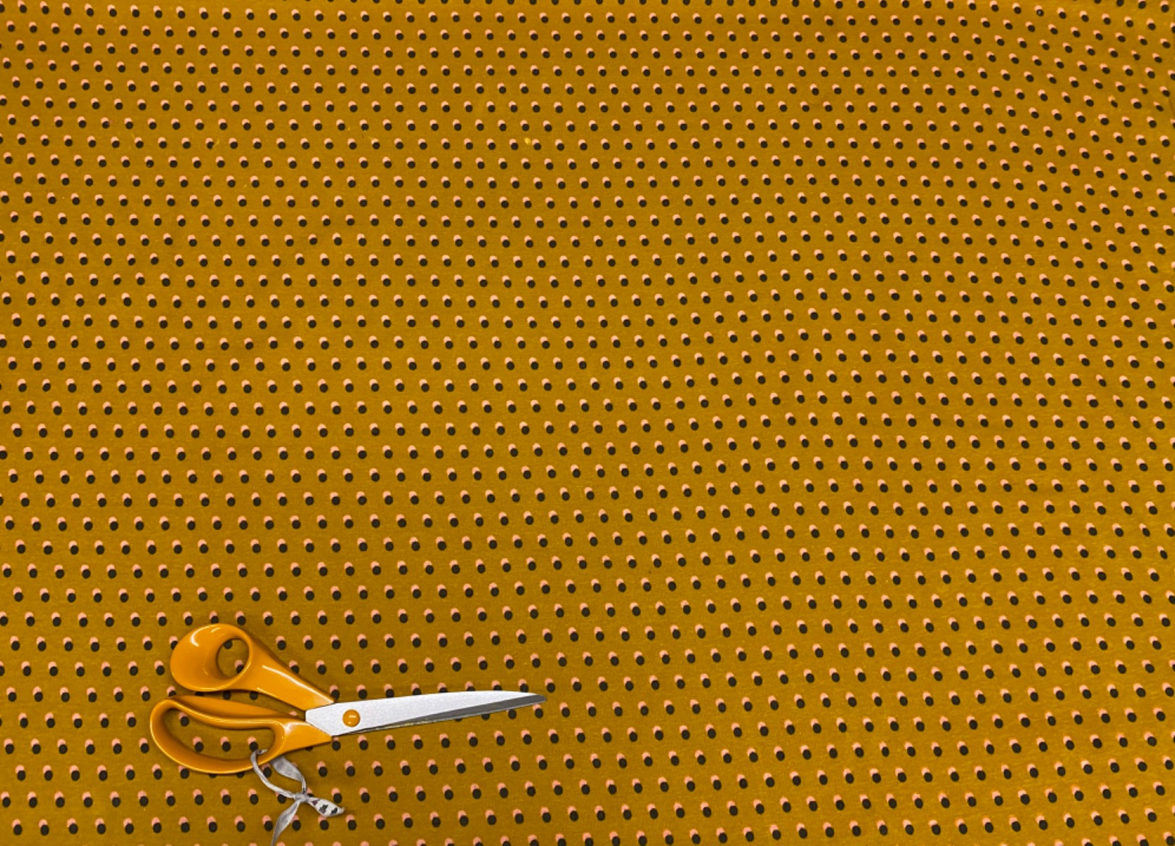 i459 Dotty Cuddle Fur Backed Jersey Sweatshirt Mustard