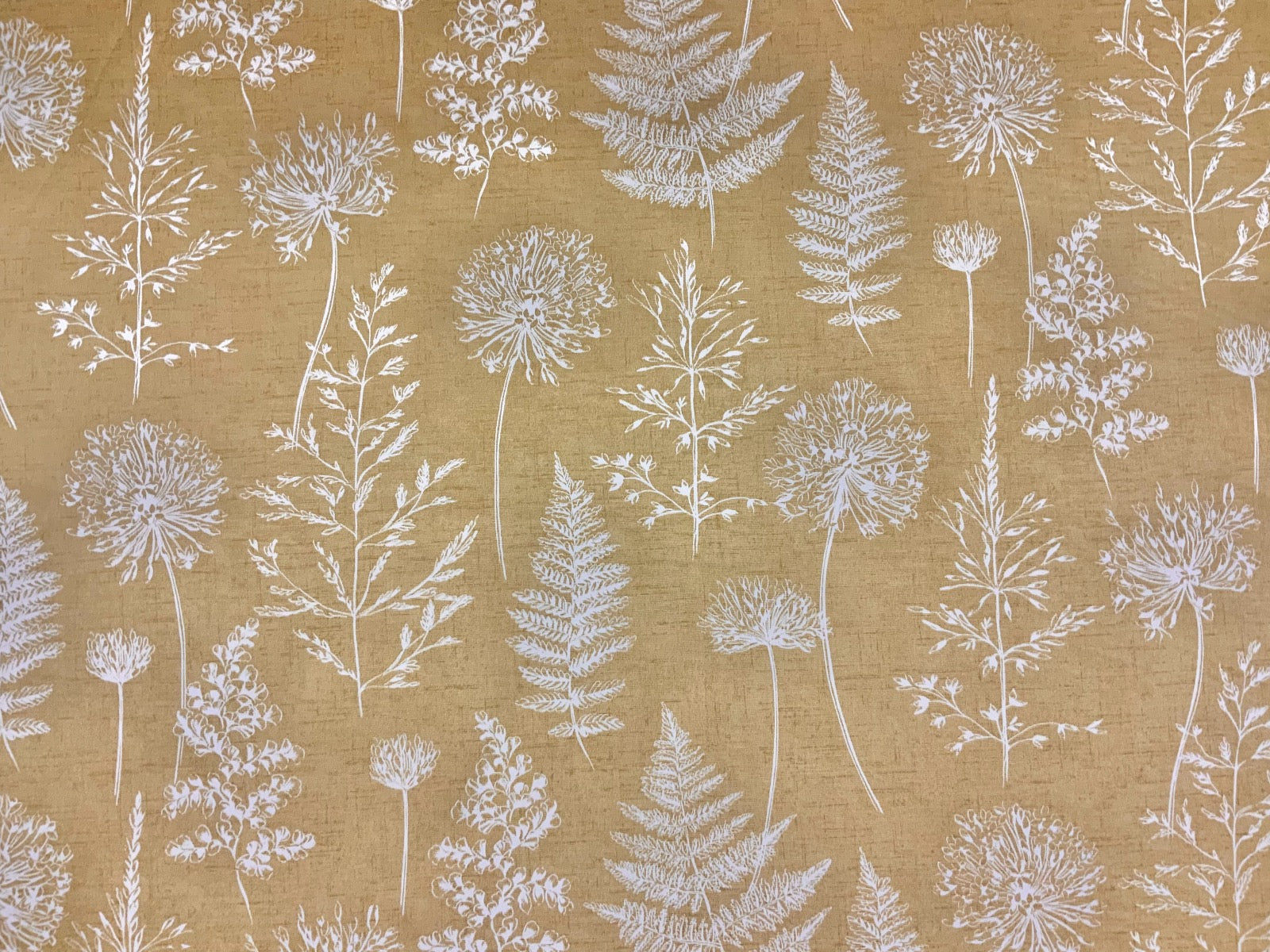 ILiv Chervil Mustard