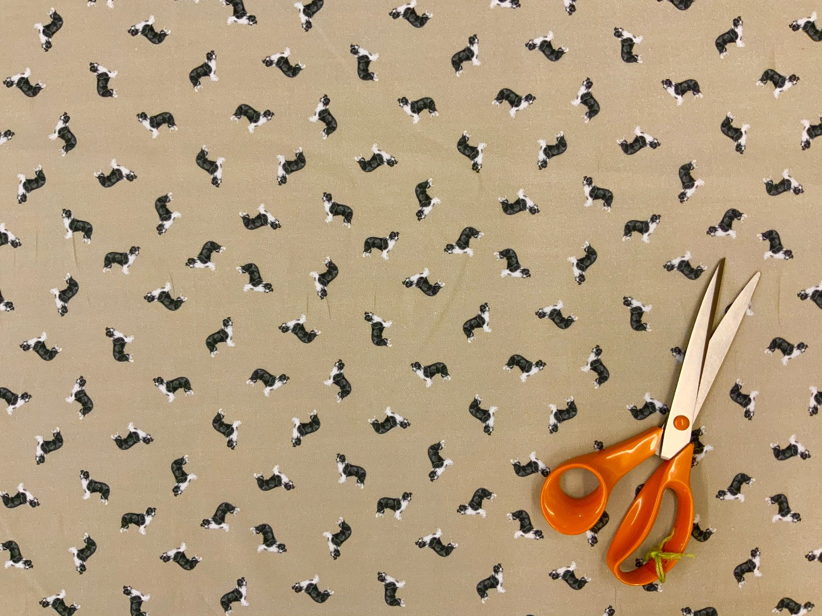 S111 Collie Dress Cotton