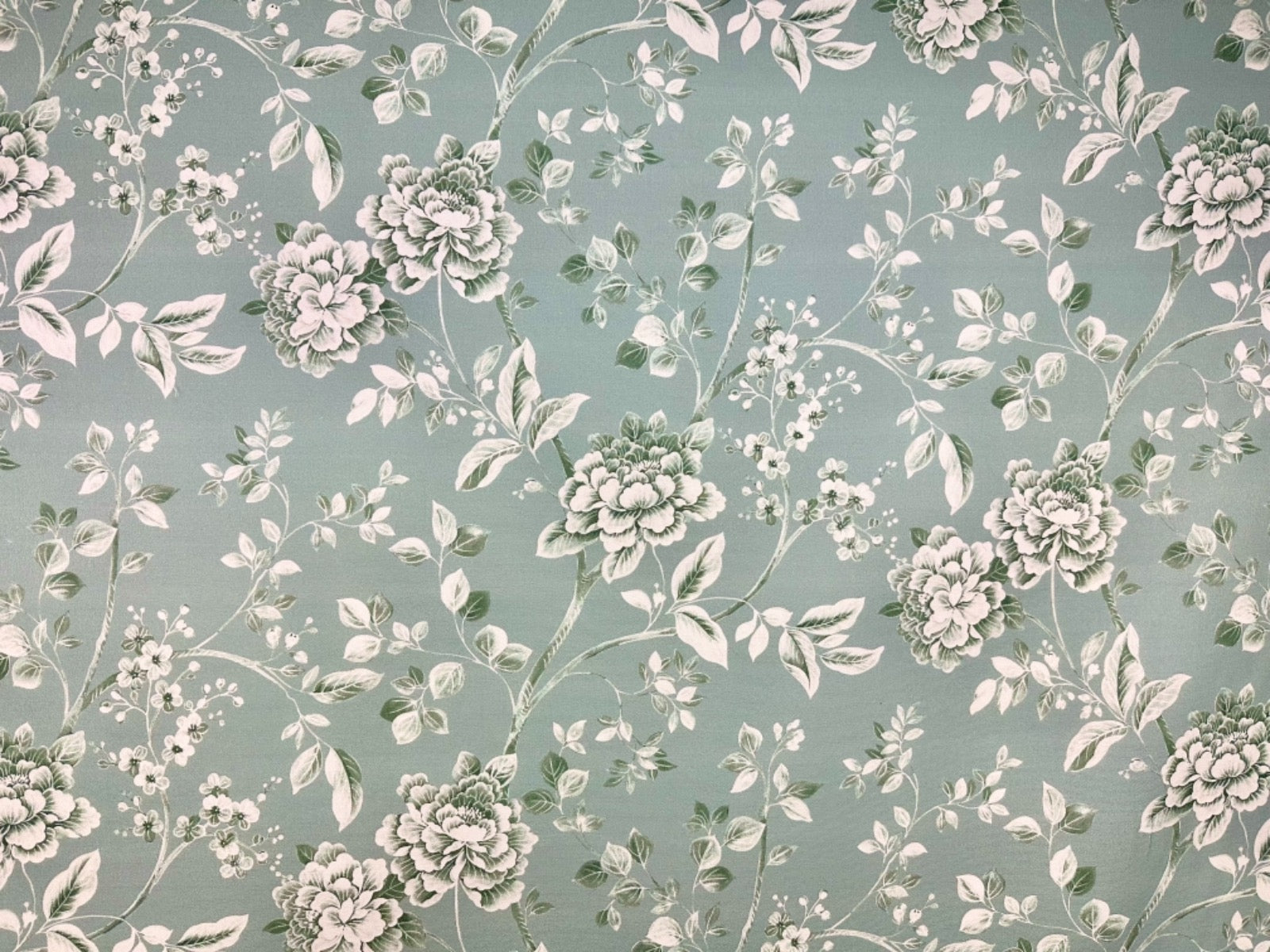 Prestigious Kiri Eden