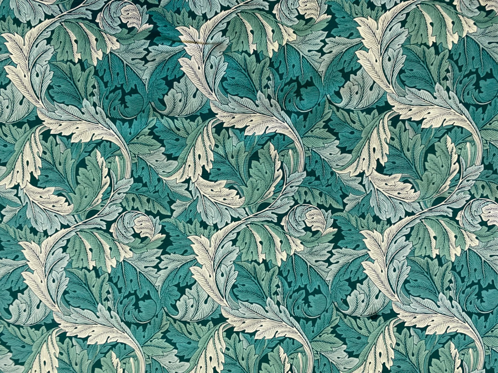 Clarke & Clarke Acanthus Teal