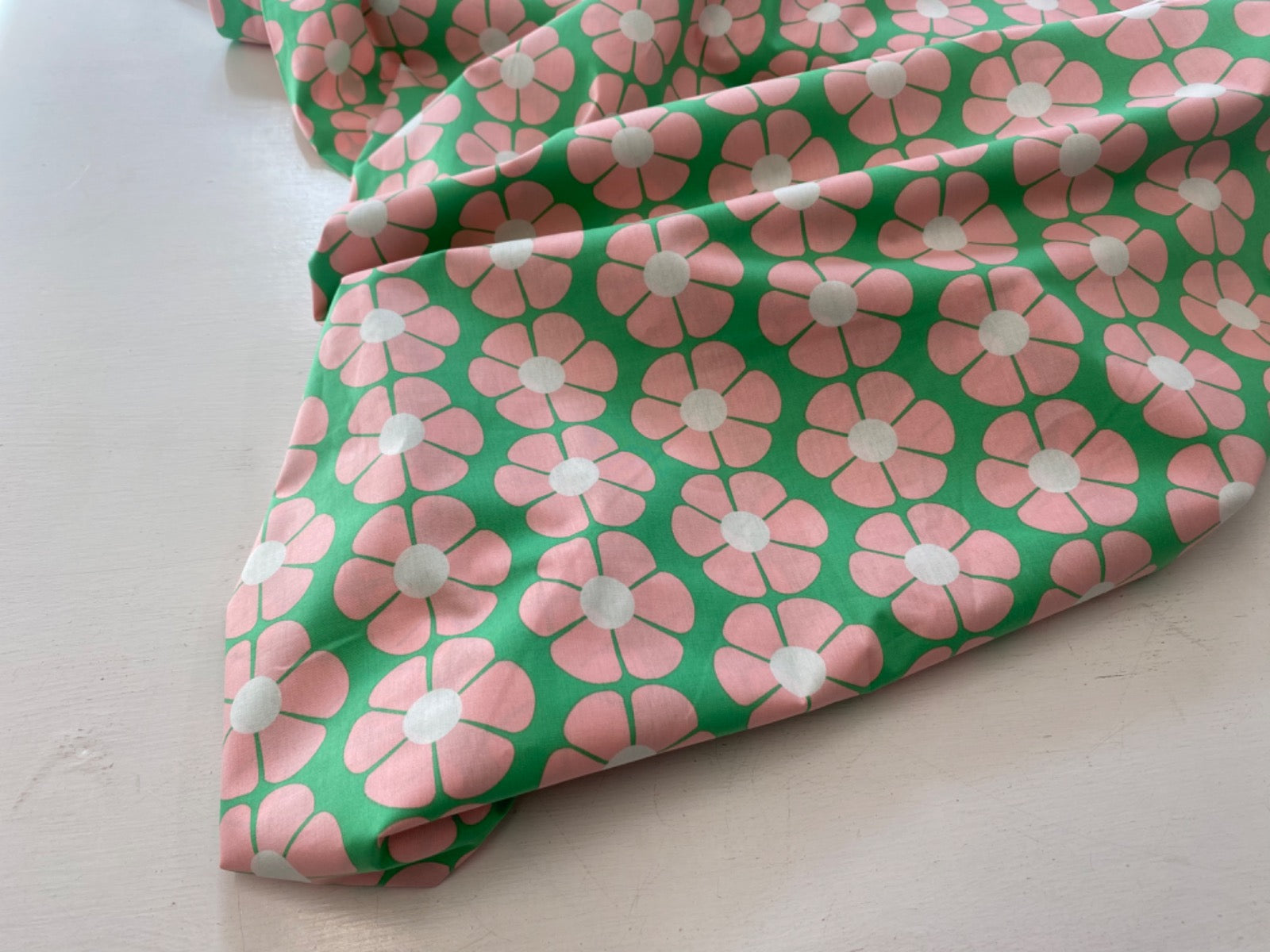 Tex Ex 2729 Bold Daisy