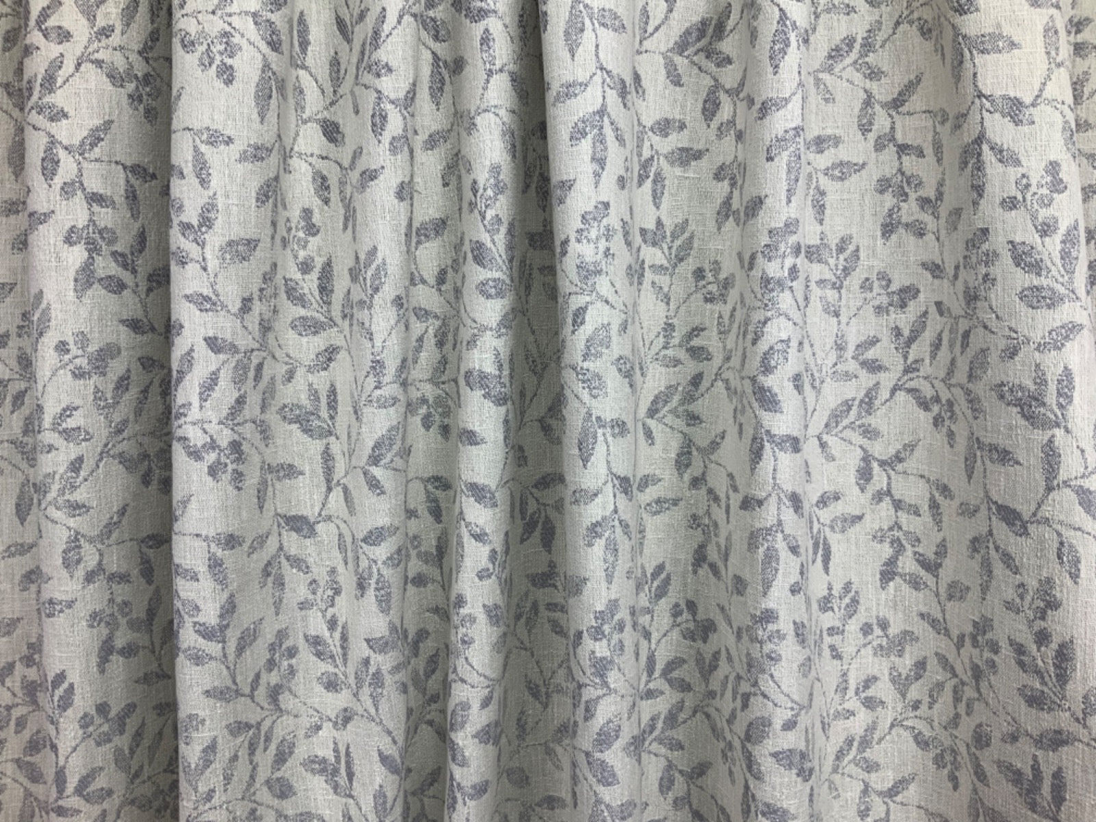 Tex Ex 2733 Darley Dove