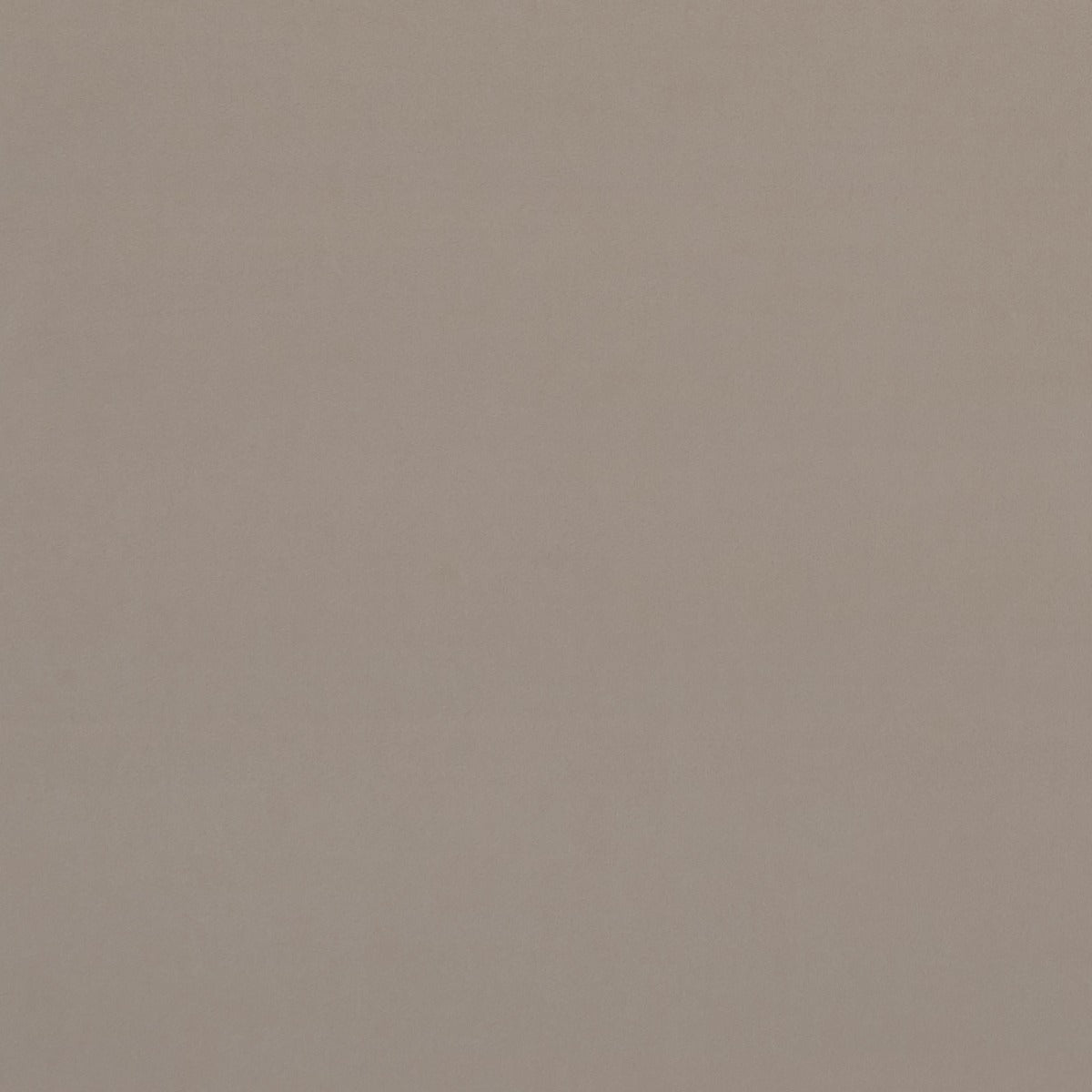 Clarke & Clarke Alvar Biscotti