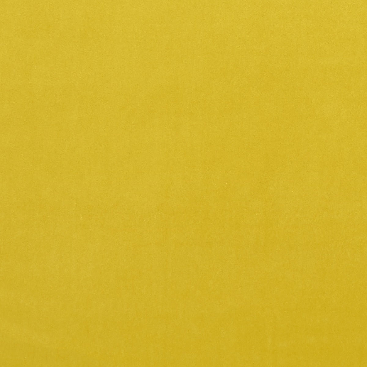 Clarke & Clarke Alvar Chartreuse