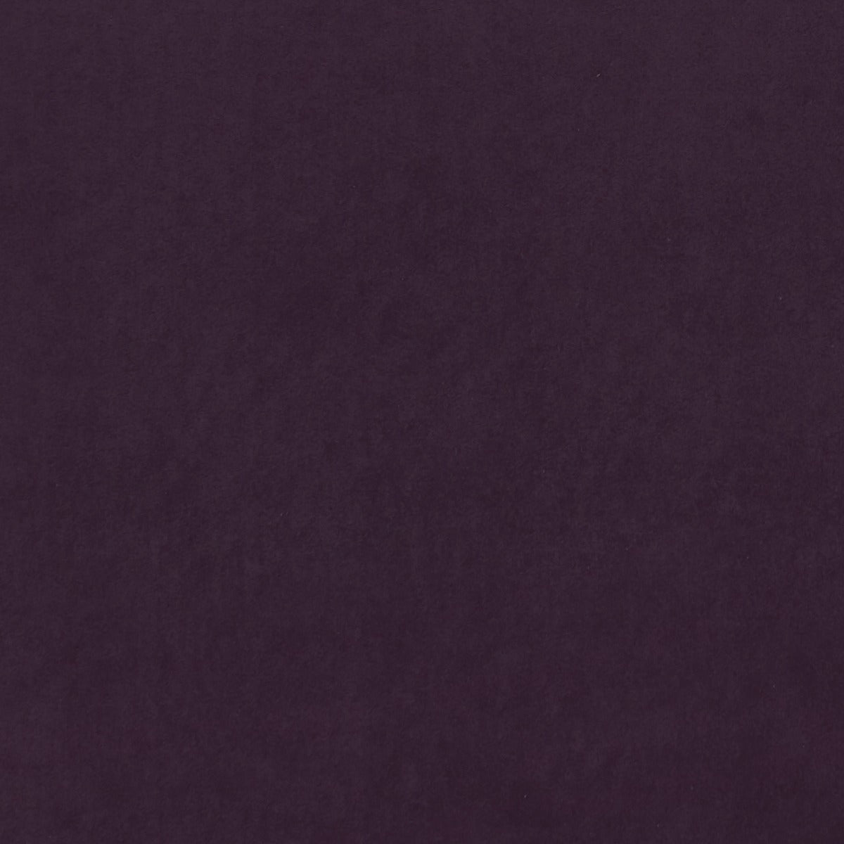 Clarke & Clarke Alvar Damson