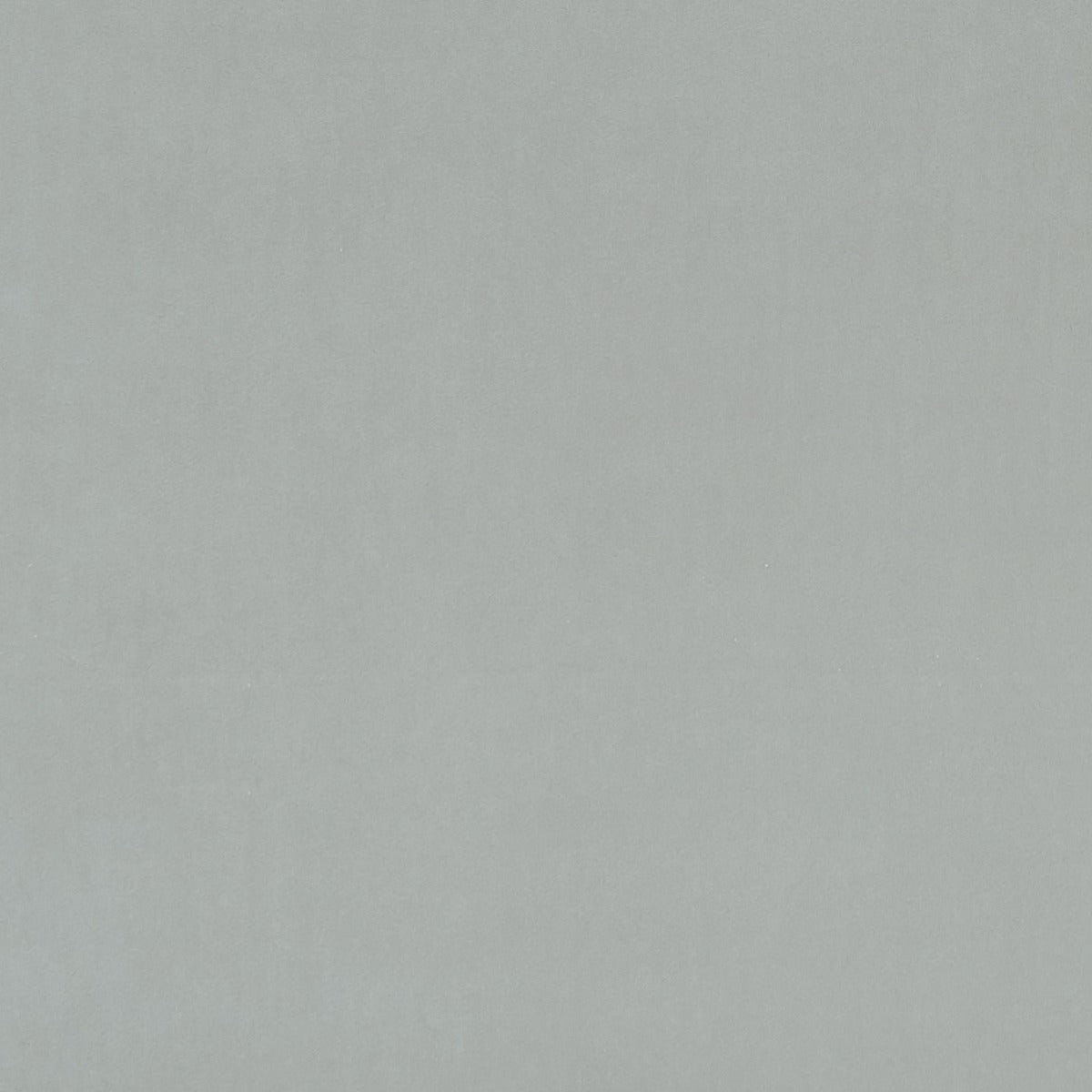 Clarke & Clarke Alvar Dove