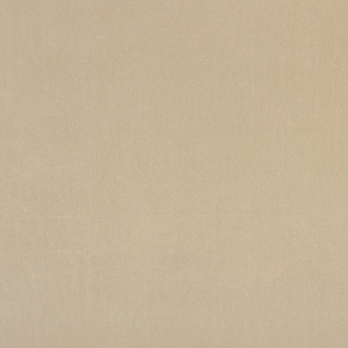 Clarke & Clarke Alvar Flaxen