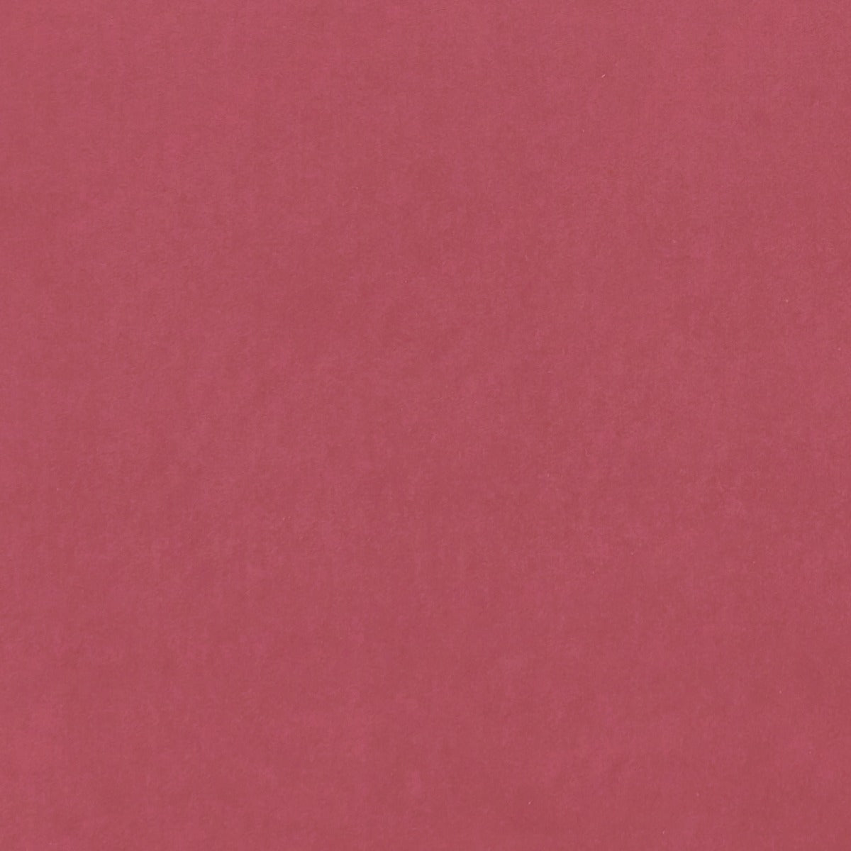 Clarke & Clarke Alvar Peony