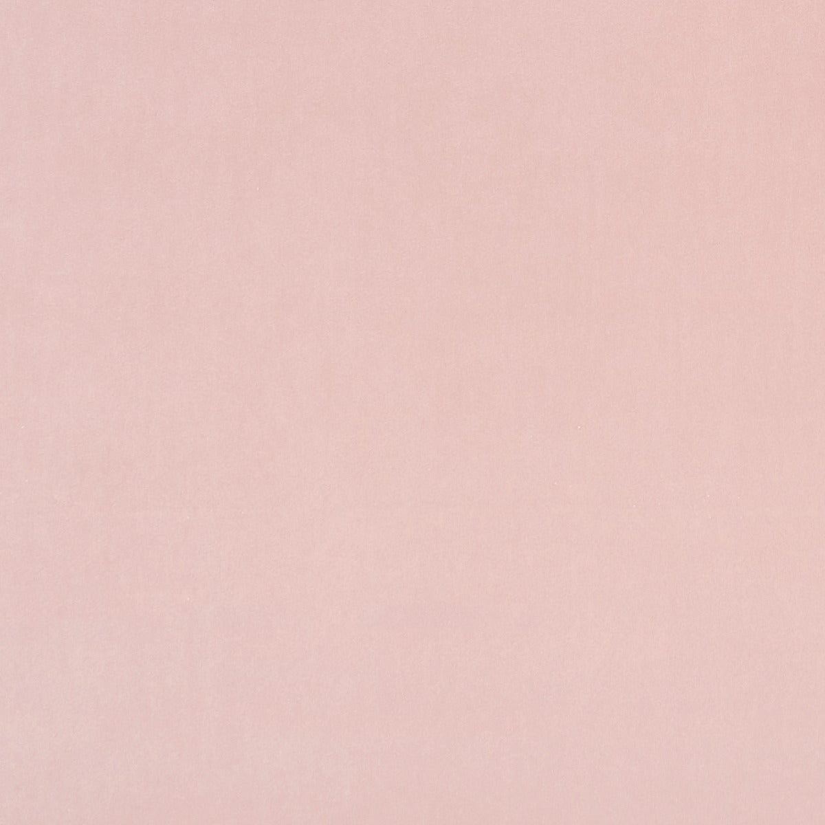 Clarke & Clarke Alvar Petal