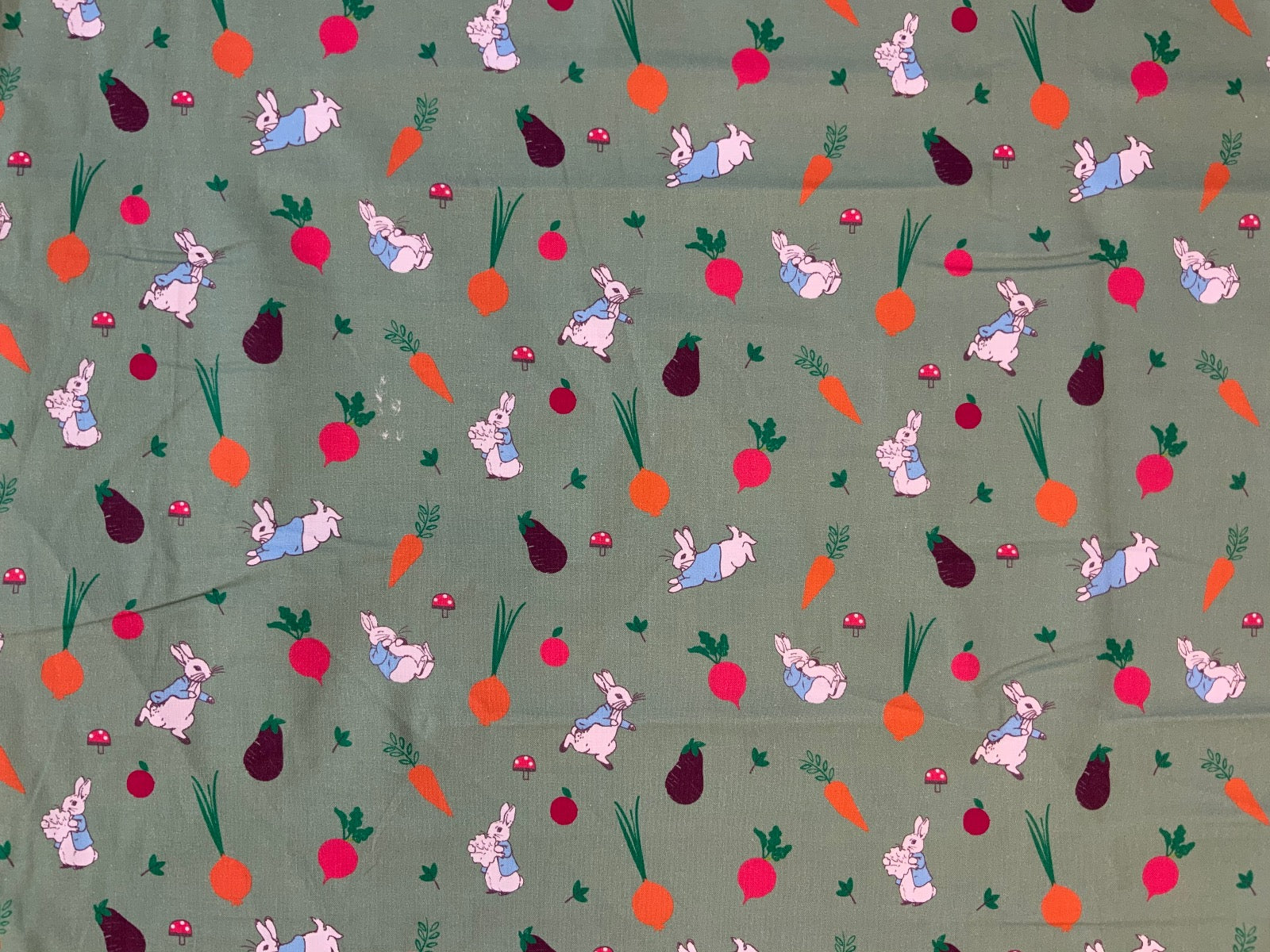 P123 Peter Rabbit 5 A Day