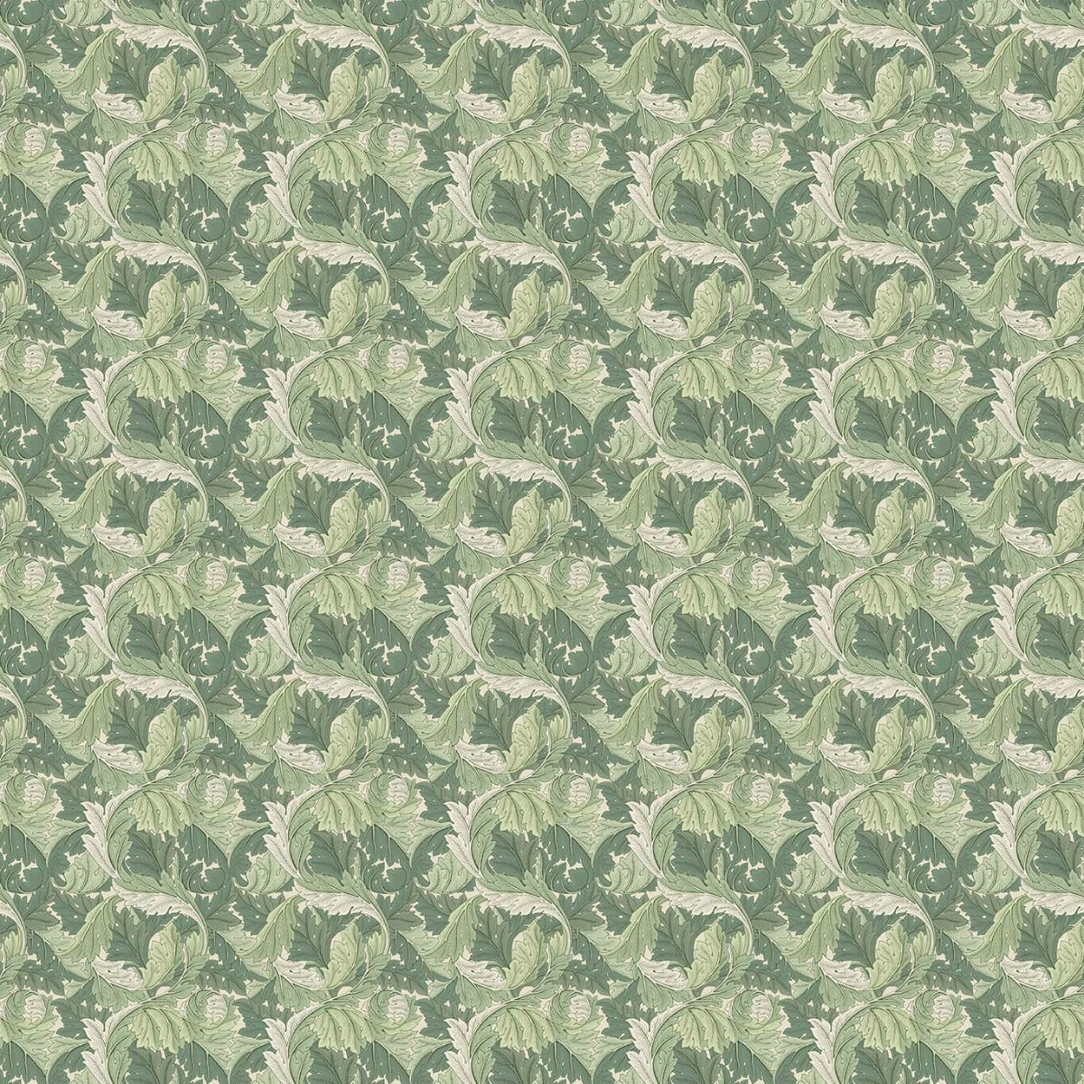 Clarke & Clarke Acanthus Apple Sage