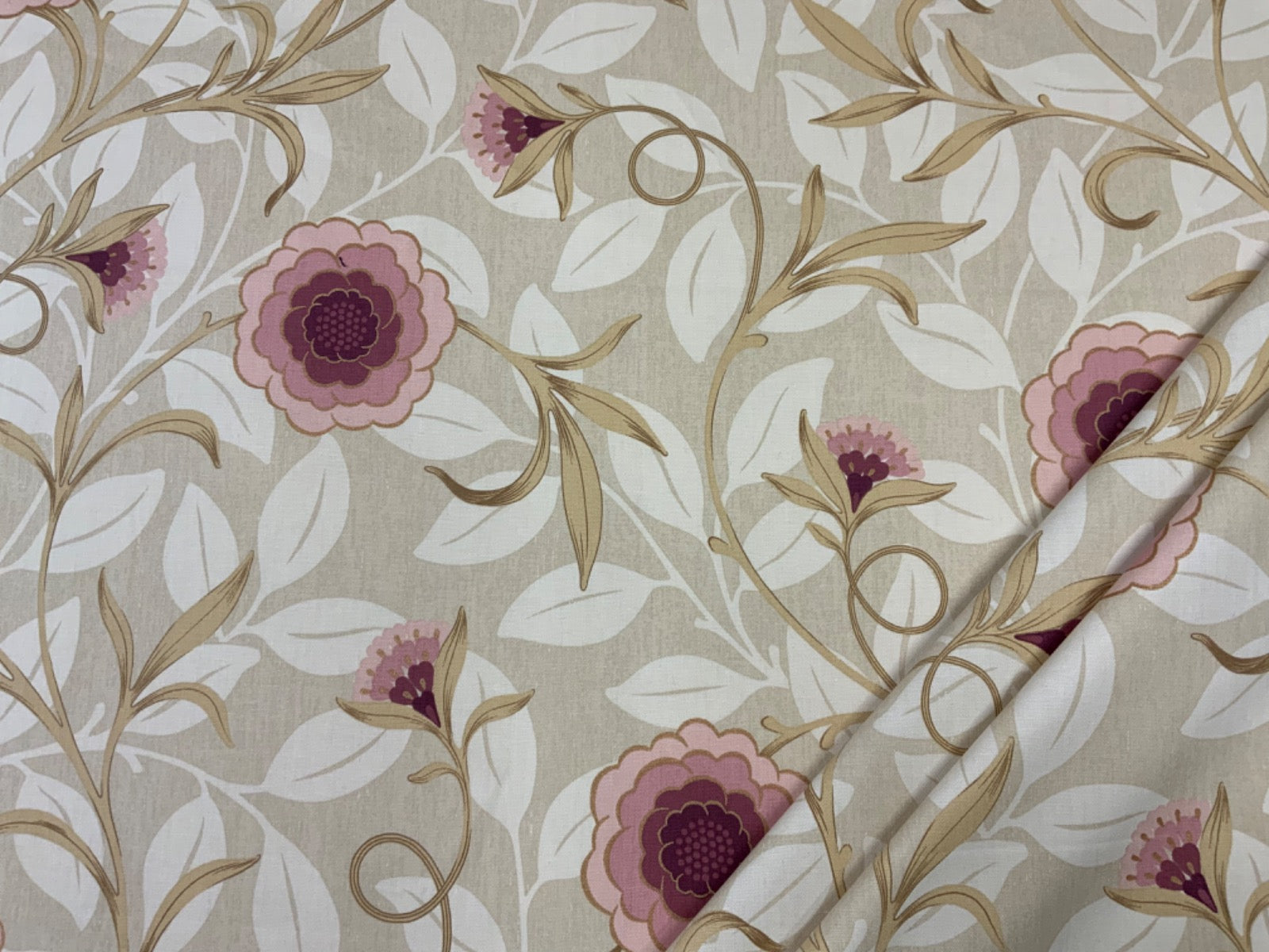 Tex Ex 2673 Crowson Camellia