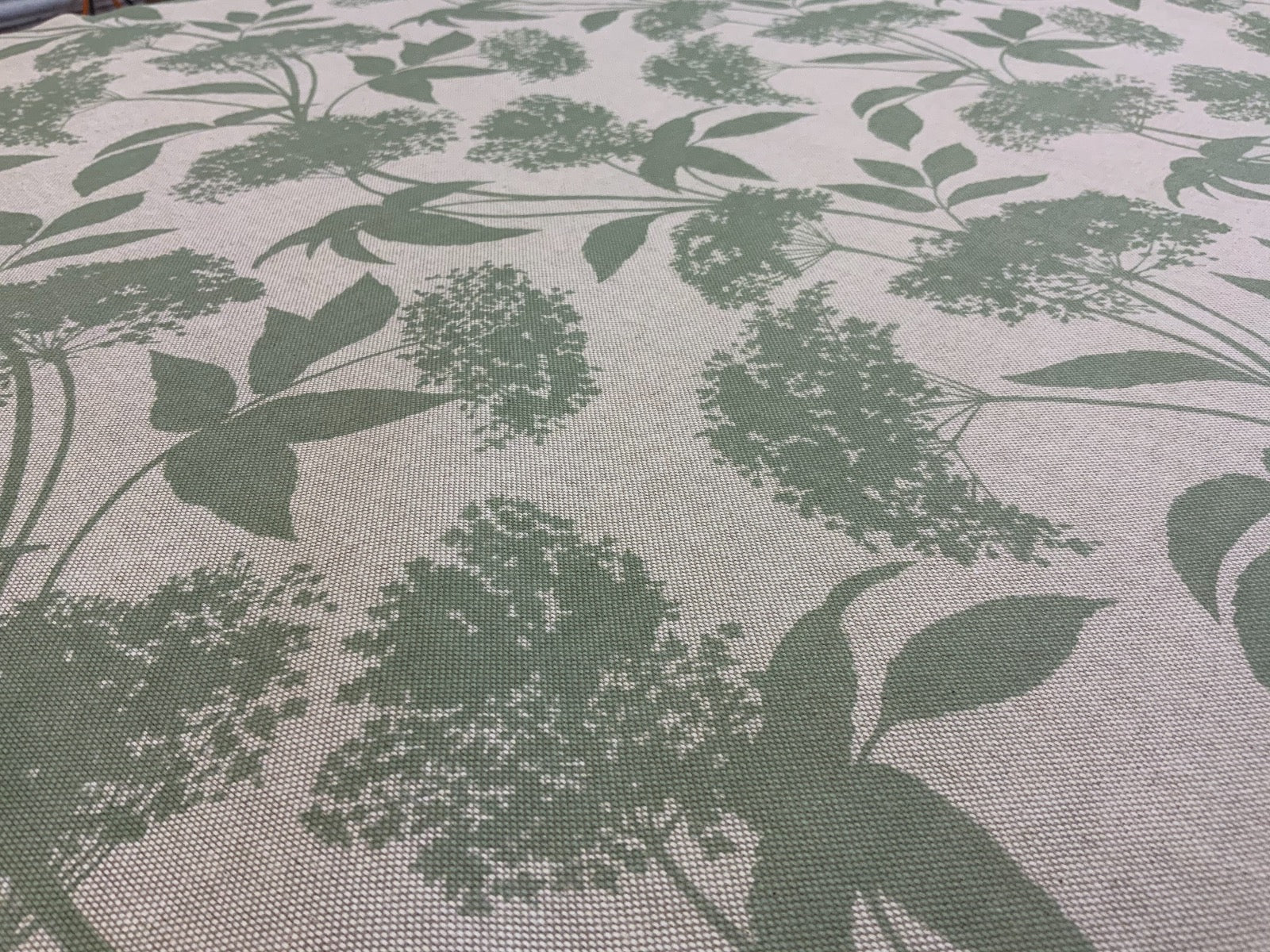 S183 Elderflower Sage