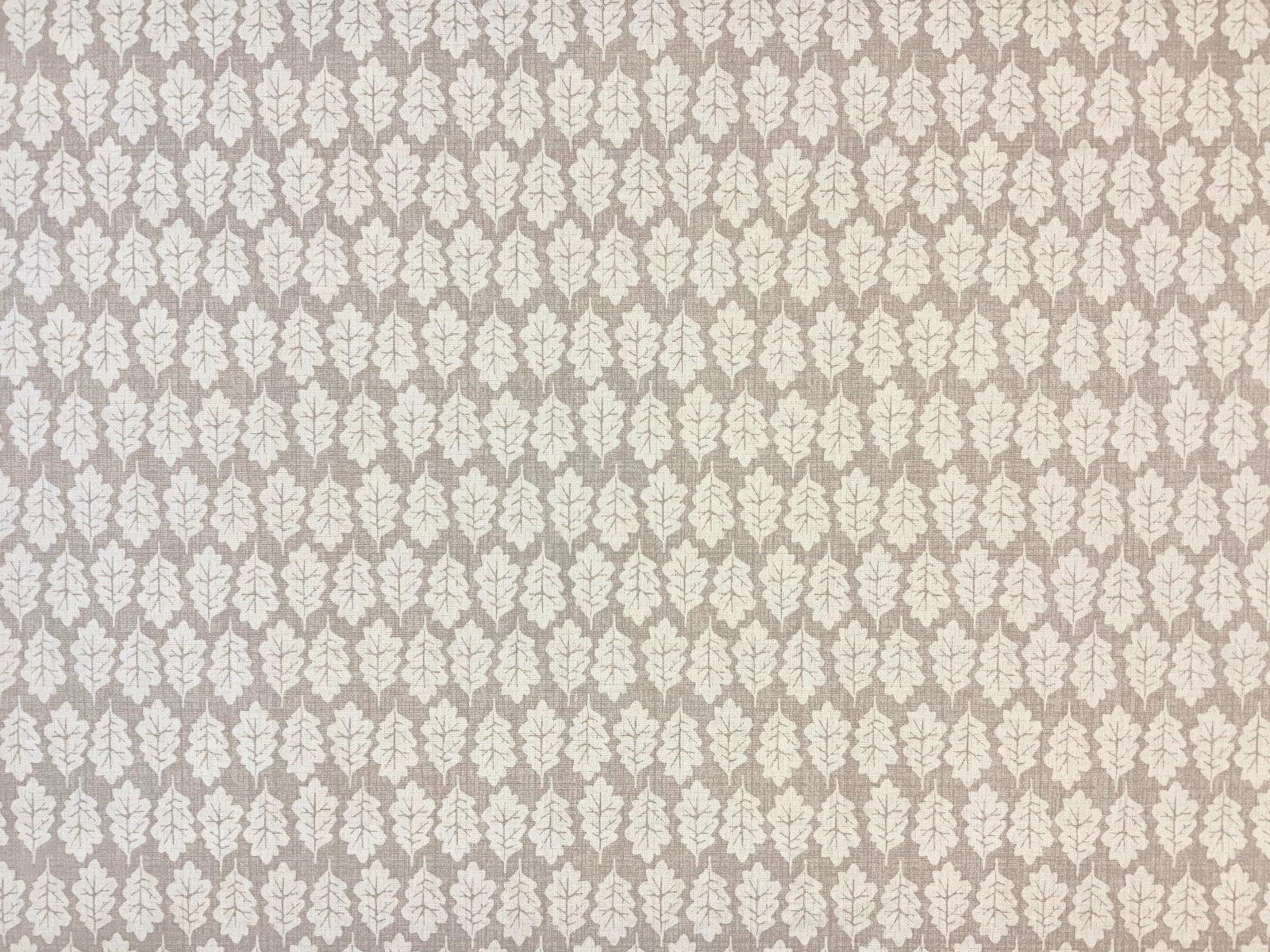 ILiv Oak Leaf Oatmeal