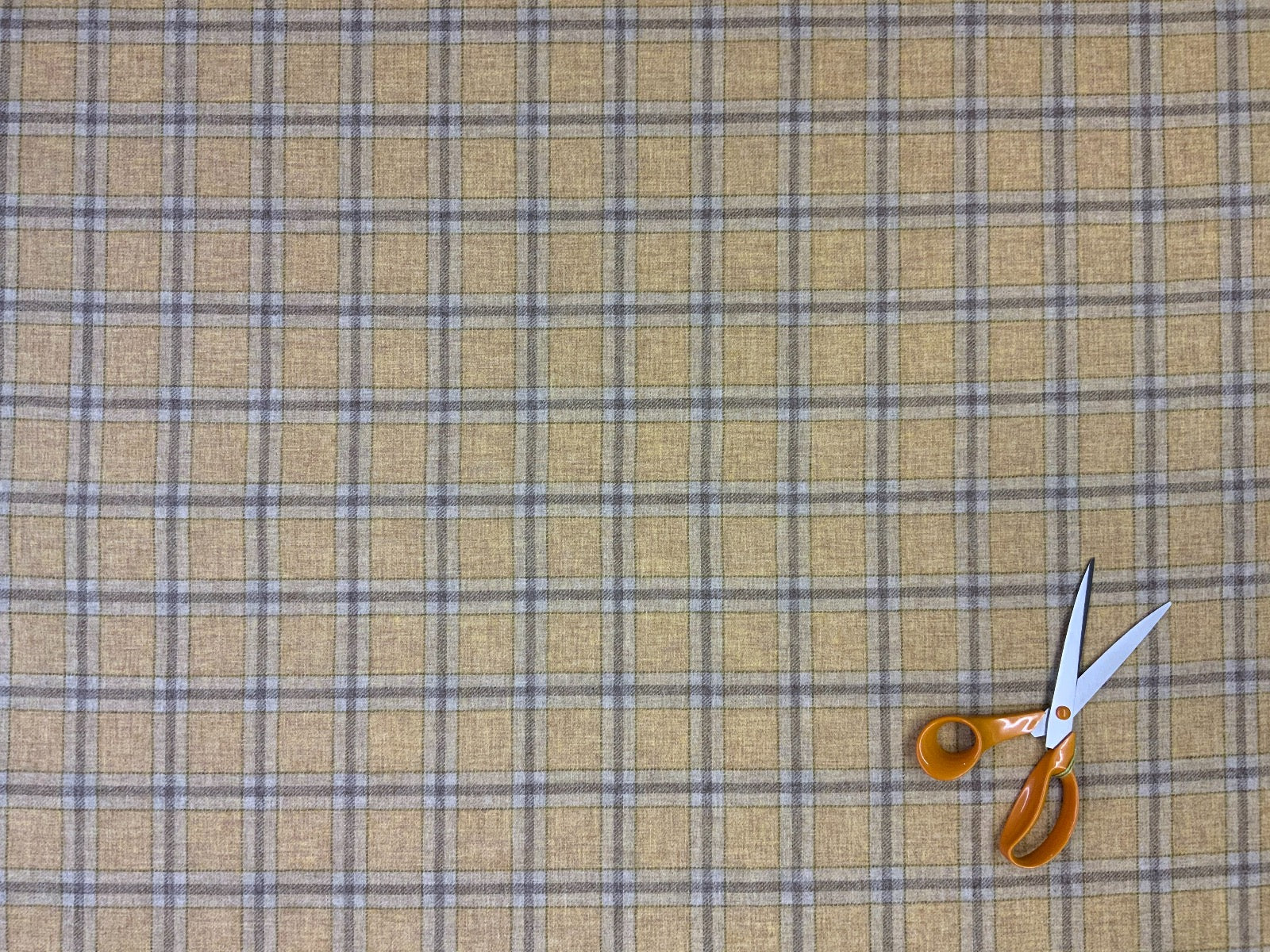 Voyage Bridgewater Mustard