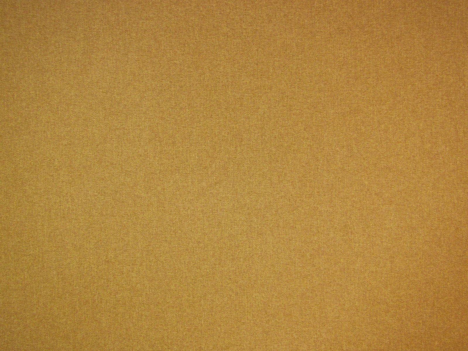 Prestigious Flynn Mimosa