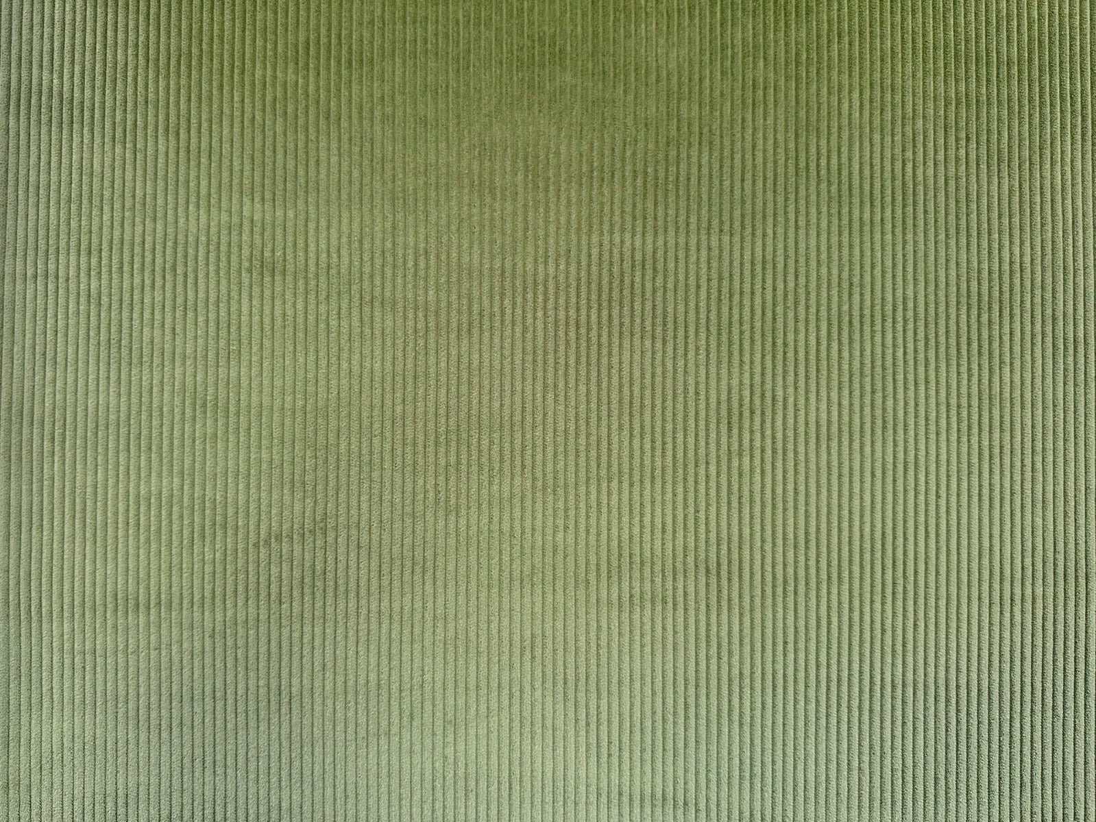 C818 4.5 Wale Corduroy Moss