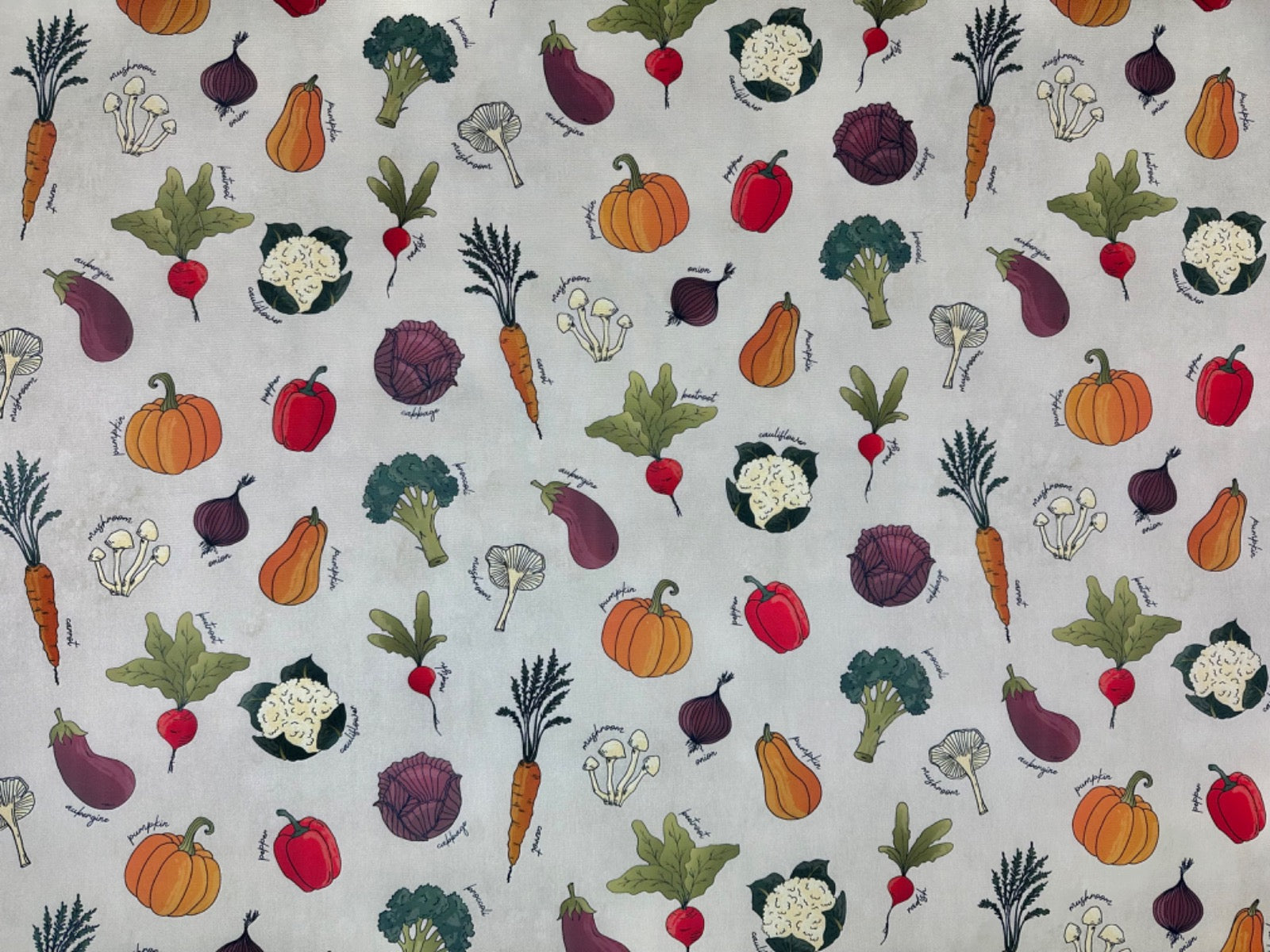 T546 Veg Patch Multi