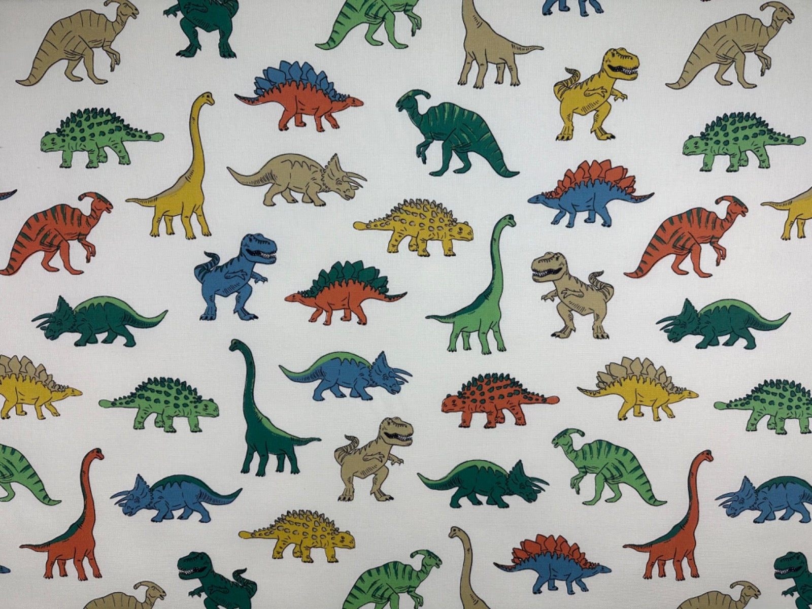 T548 Dinosaur Land Multi