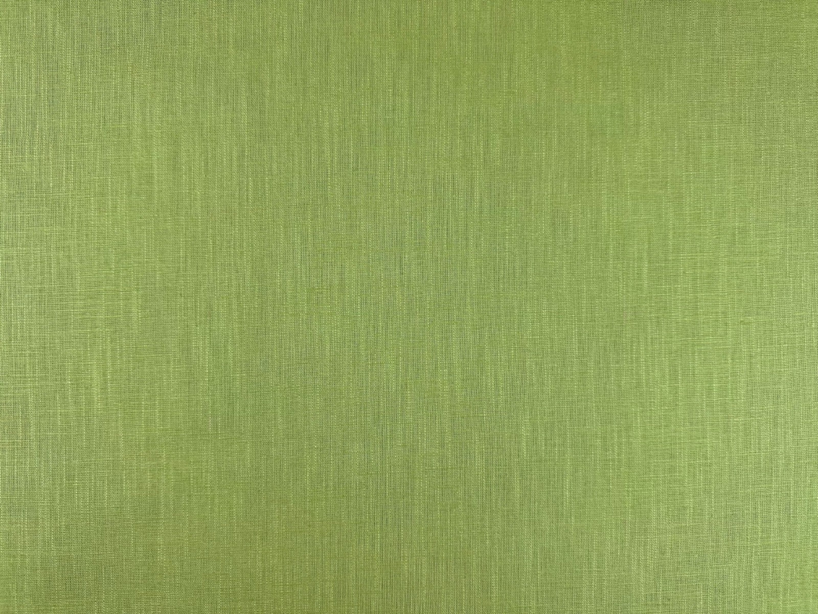 Natural Ramie Linen Look Grass C785